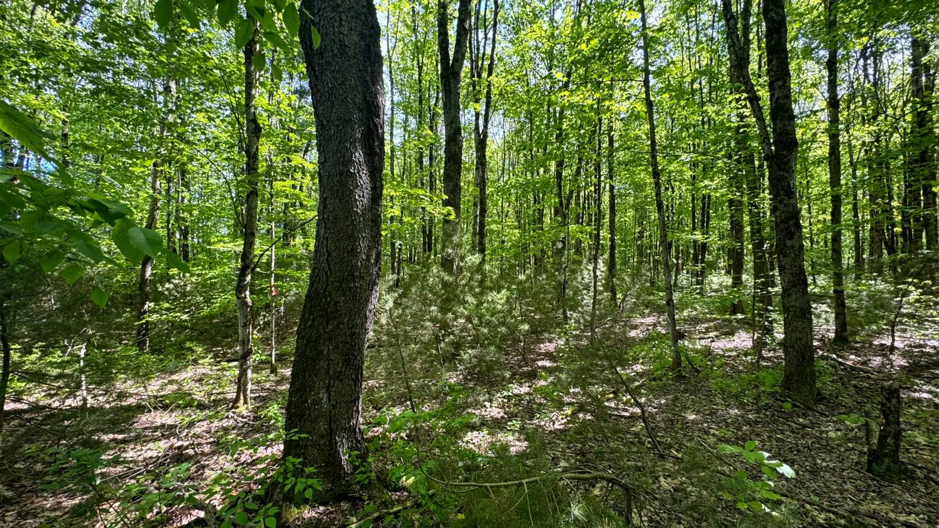 Property at 1.1 Preston Hill Road, Camden, NY 13316 7