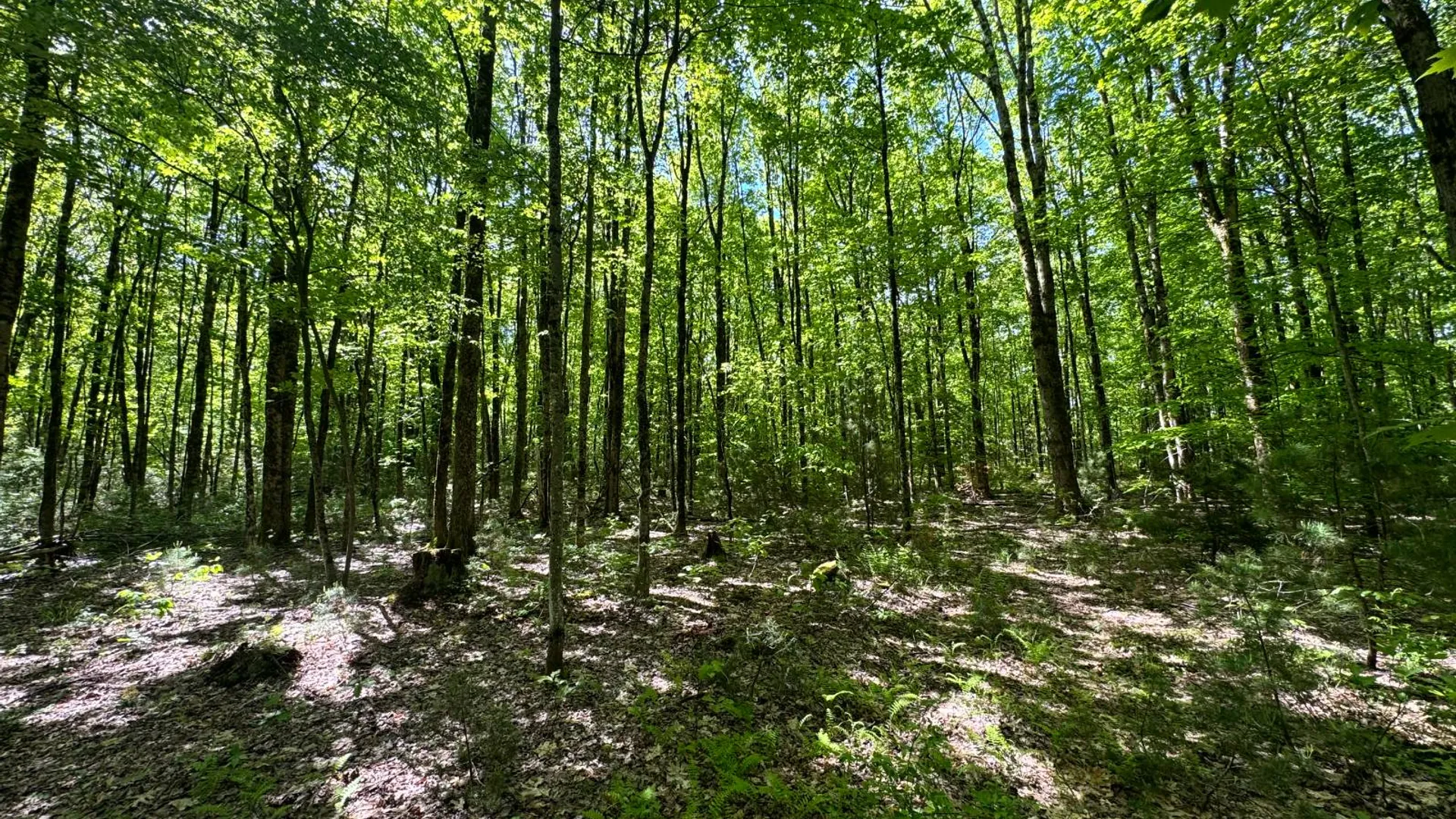 Property at 1.1 Preston Hill Road, Camden, NY 13316 8