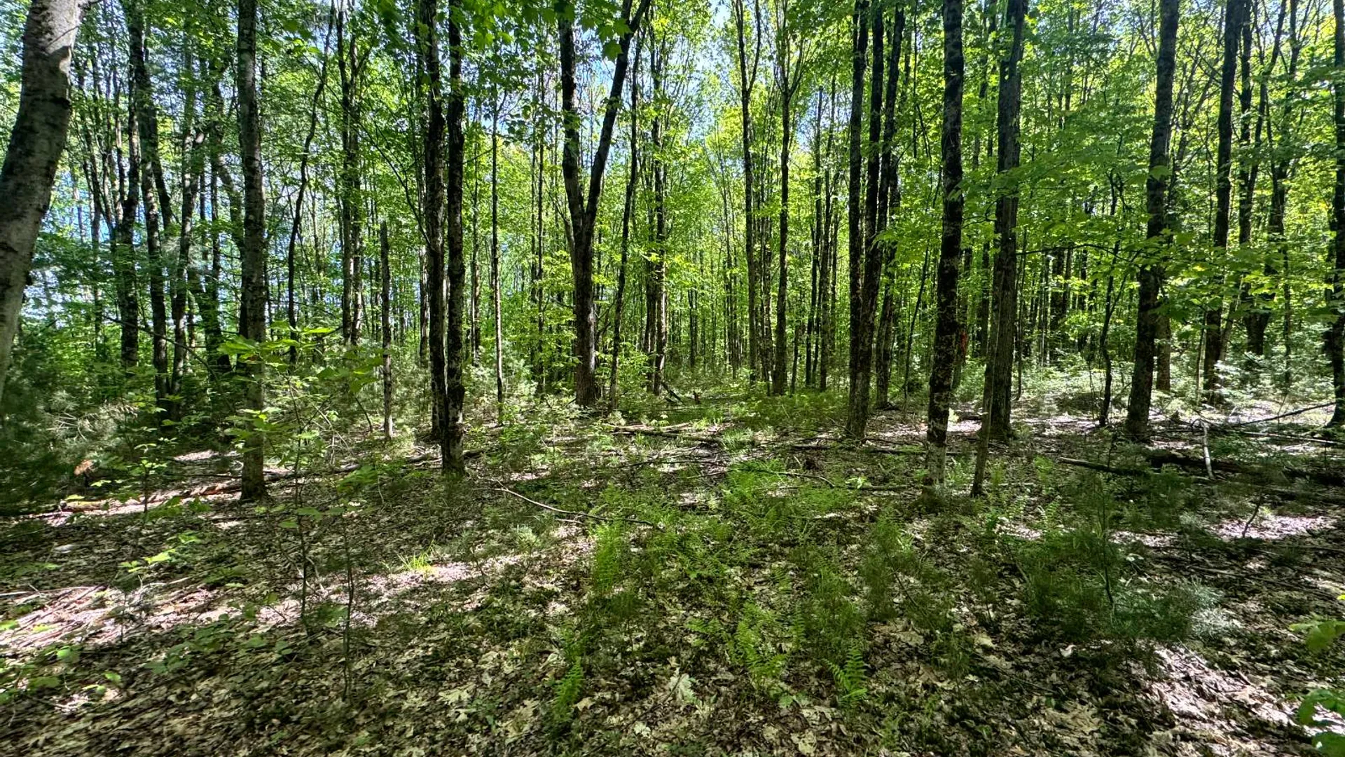 Property at 1.1 Preston Hill Road, Camden, NY 13316 9