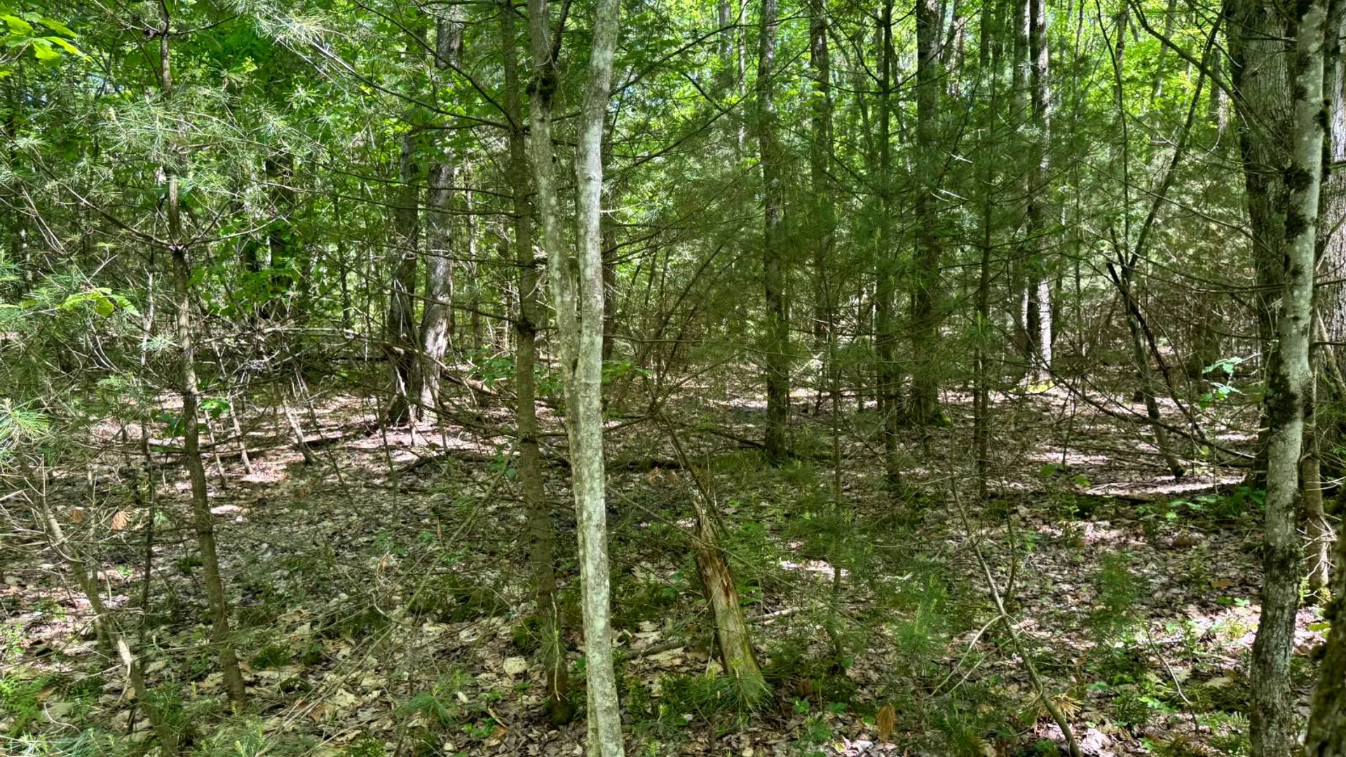 Property at 1.3 Littlefield Rd., Camden, NY 13316 12