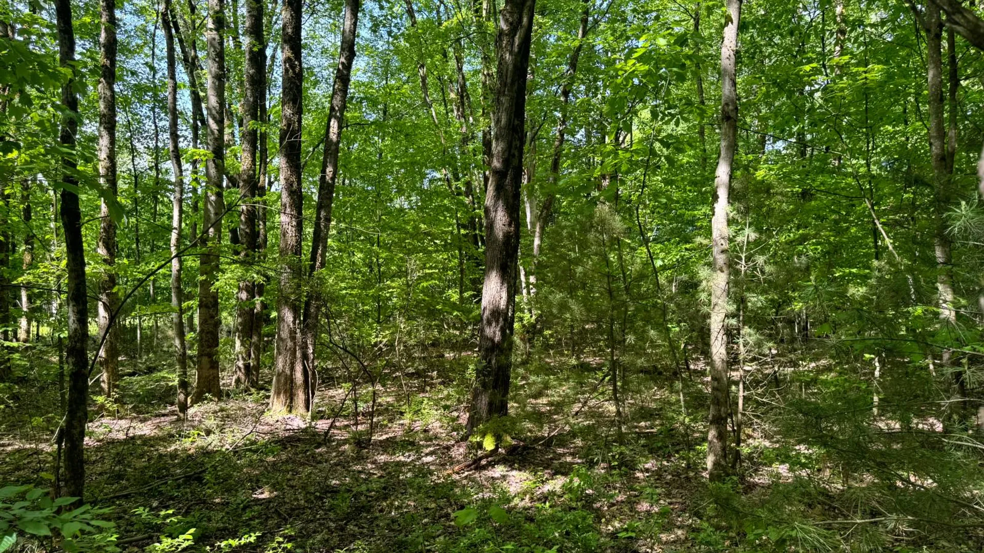 Property at 1.3 Littlefield Rd., Camden, NY 13316 5