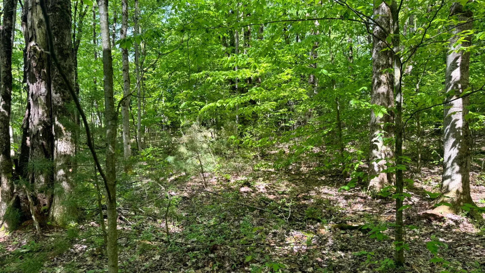 Property at 1.3 Littlefield Rd., Camden, NY 13316 9