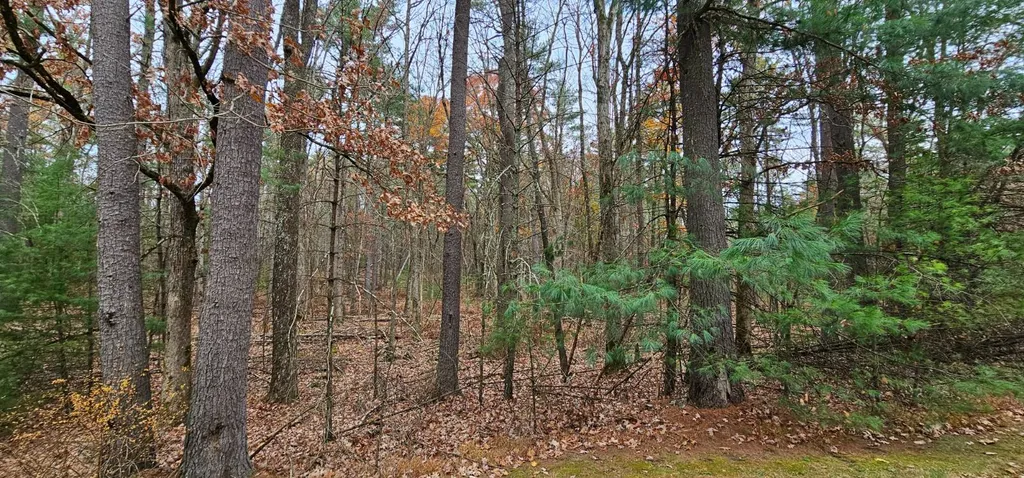 Property at Lot 28 Summit Dr, Eldred, NY 12732