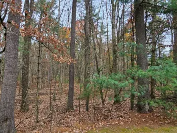 Property at Lot 28 Summit Dr, Eldred, NY 12732
