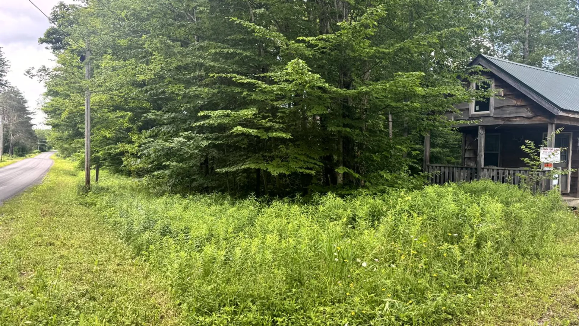 Property at 709 Kirk Rd., Lewis, NY 13489 14