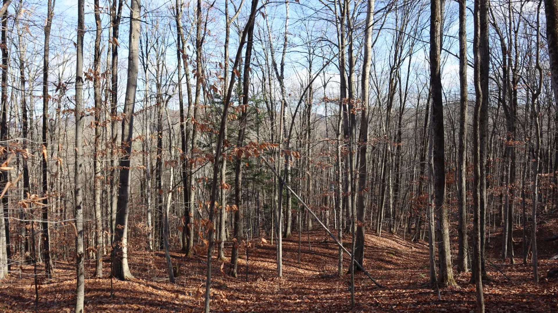Property at 423 Hadley Rd, Stony Creek, NY 12878 4