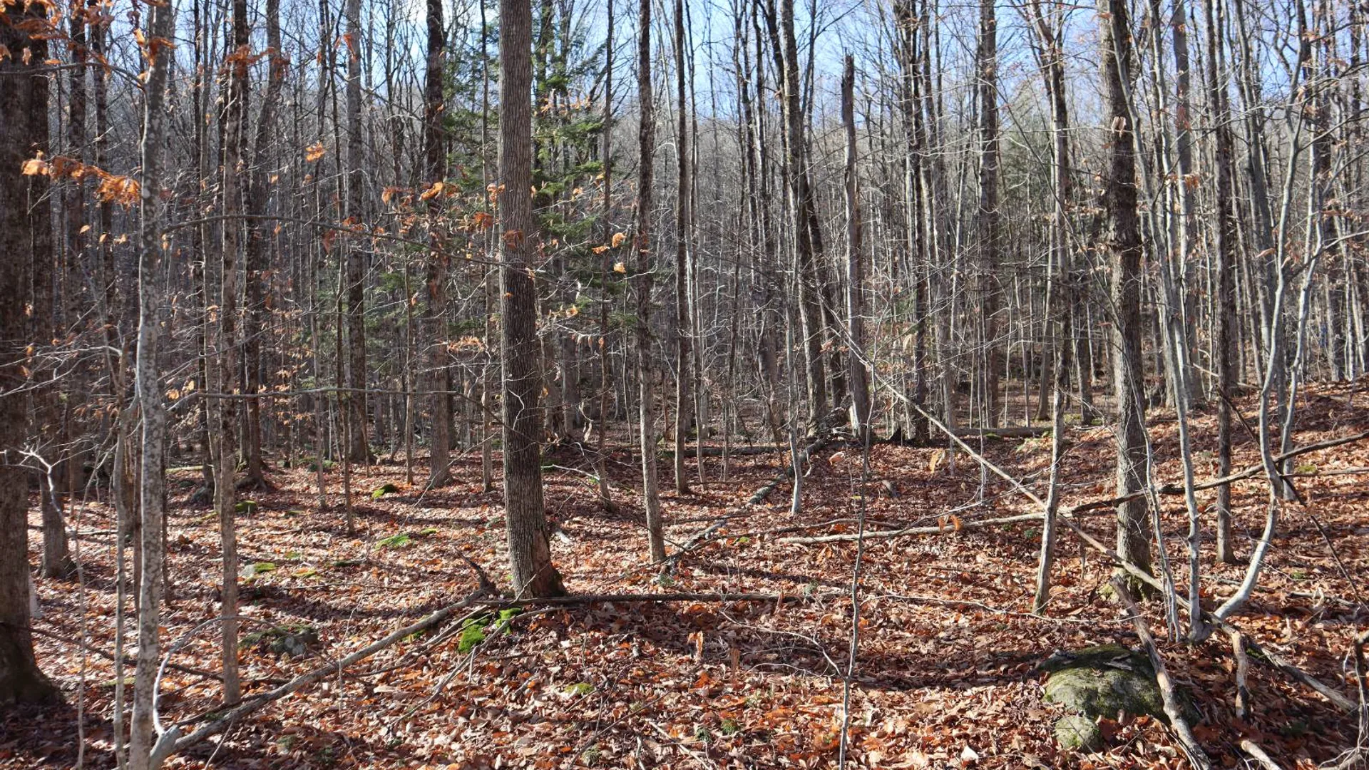 Property at 423 Hadley Rd, Stony Creek, NY 12878 7
