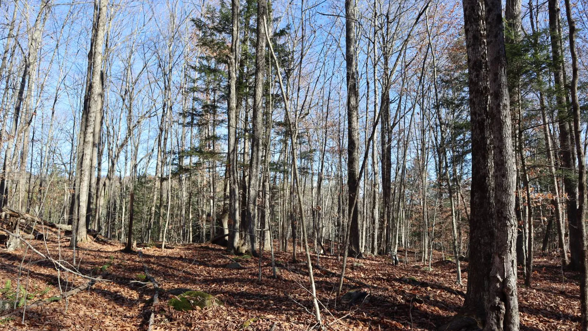 Property at 423 Hadley Rd, Stony Creek, NY 12878 8