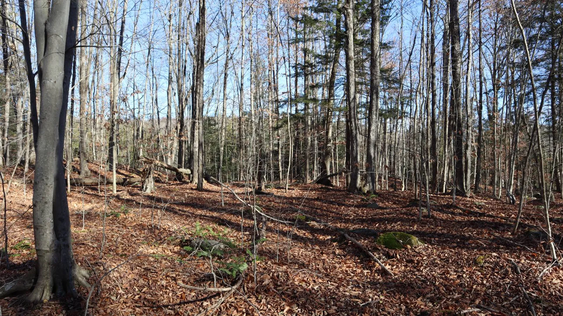Property at 423 Hadley Rd, Stony Creek, NY 12878 10
