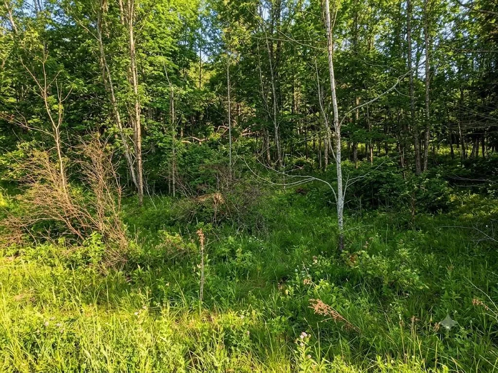 Property at L45.11 Panarama Ln, Windham, NY 12496