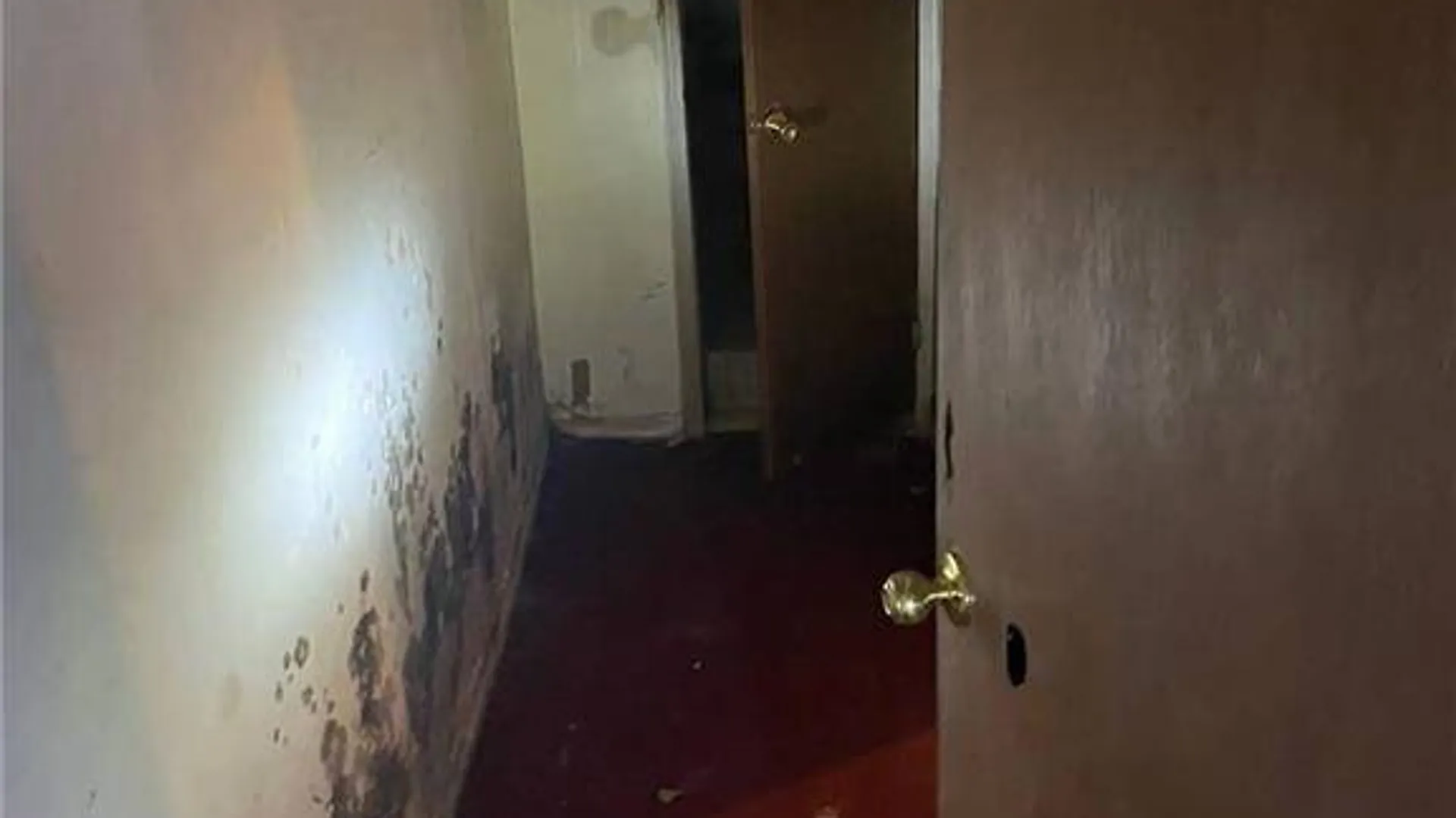 Property at 110-03 Guy Brewer Blvd, Jamaica, NY 11433 21