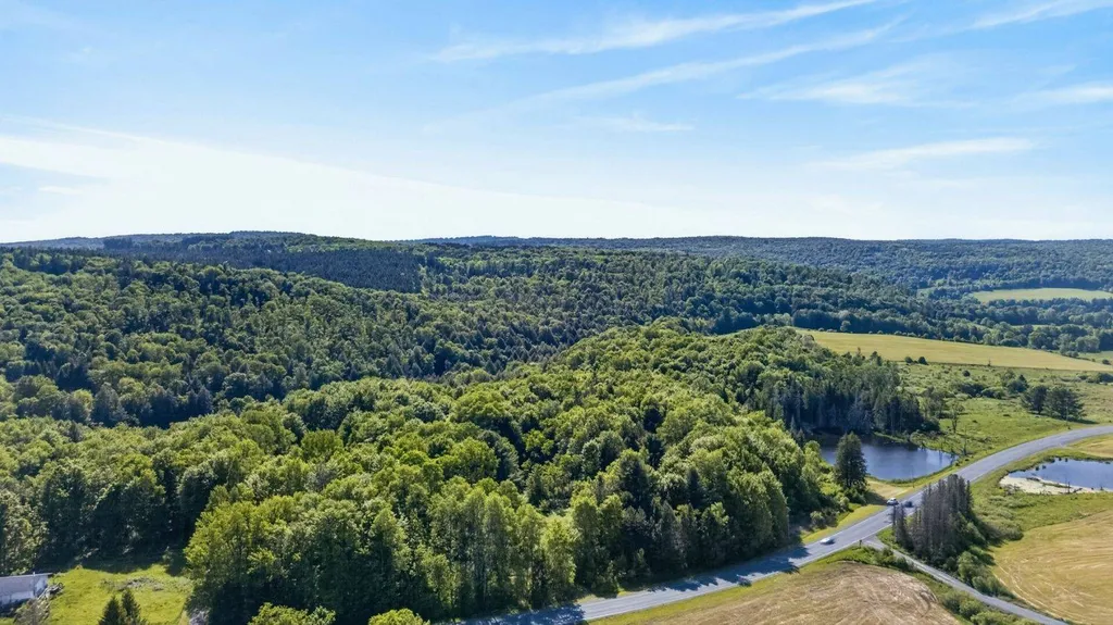 Property at L1 County Rd 16, Otselic, NY 13815