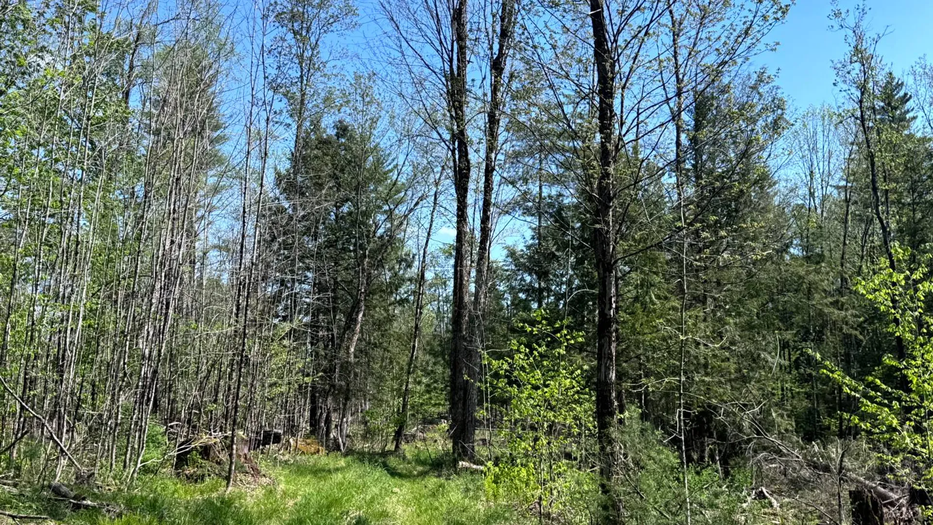 Property at 1.8 Curtiss Rd, Camden, NY, NY 13316 15