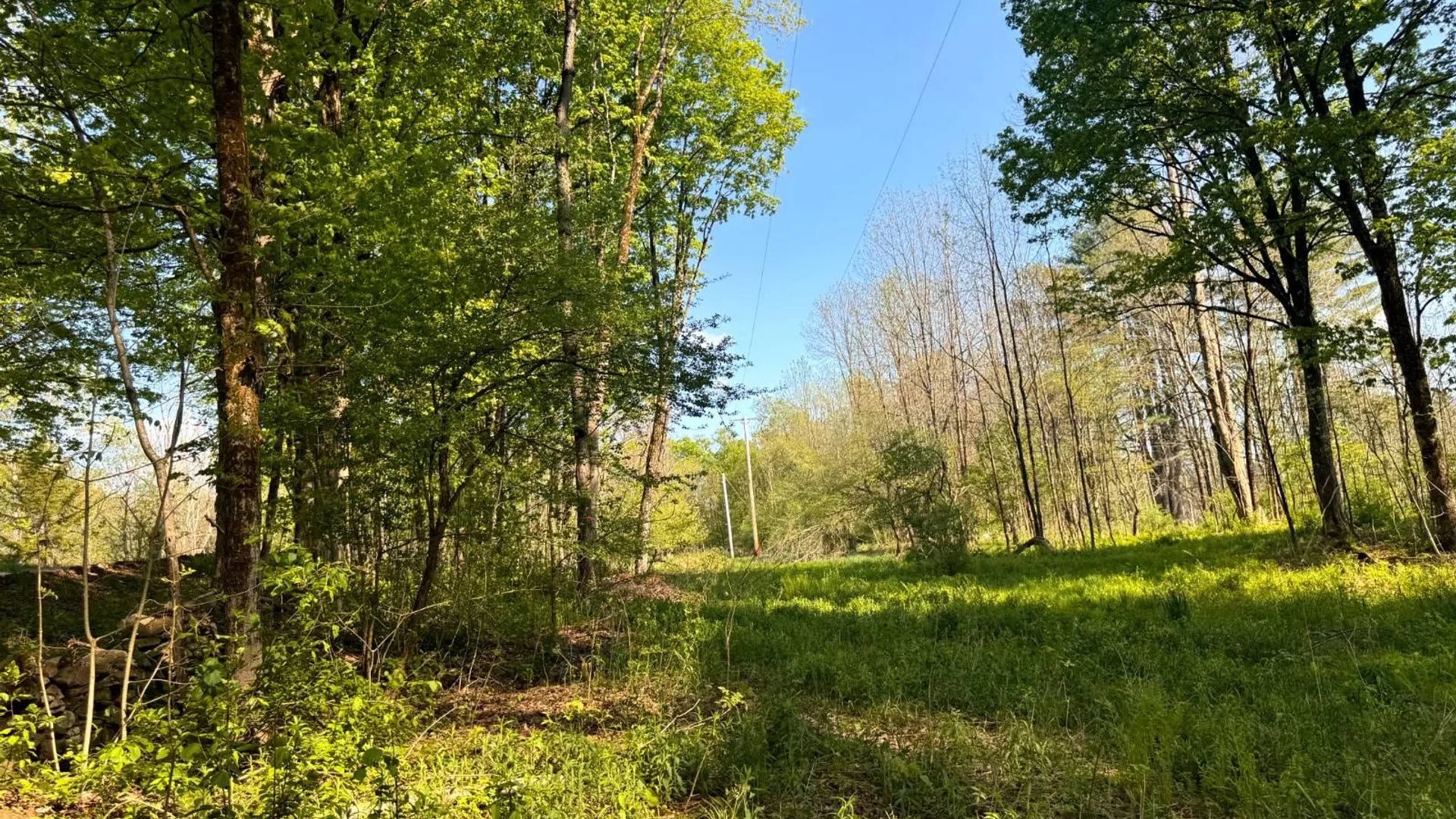 Property at 1.8 Curtiss Rd, Camden, NY, NY 13316 19