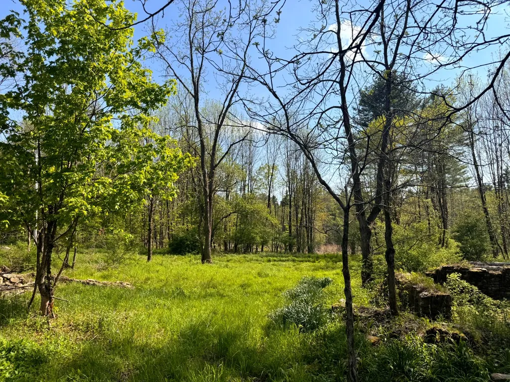 Property at 1.9 Curtiss Rd, Camden, NY, NY 13316