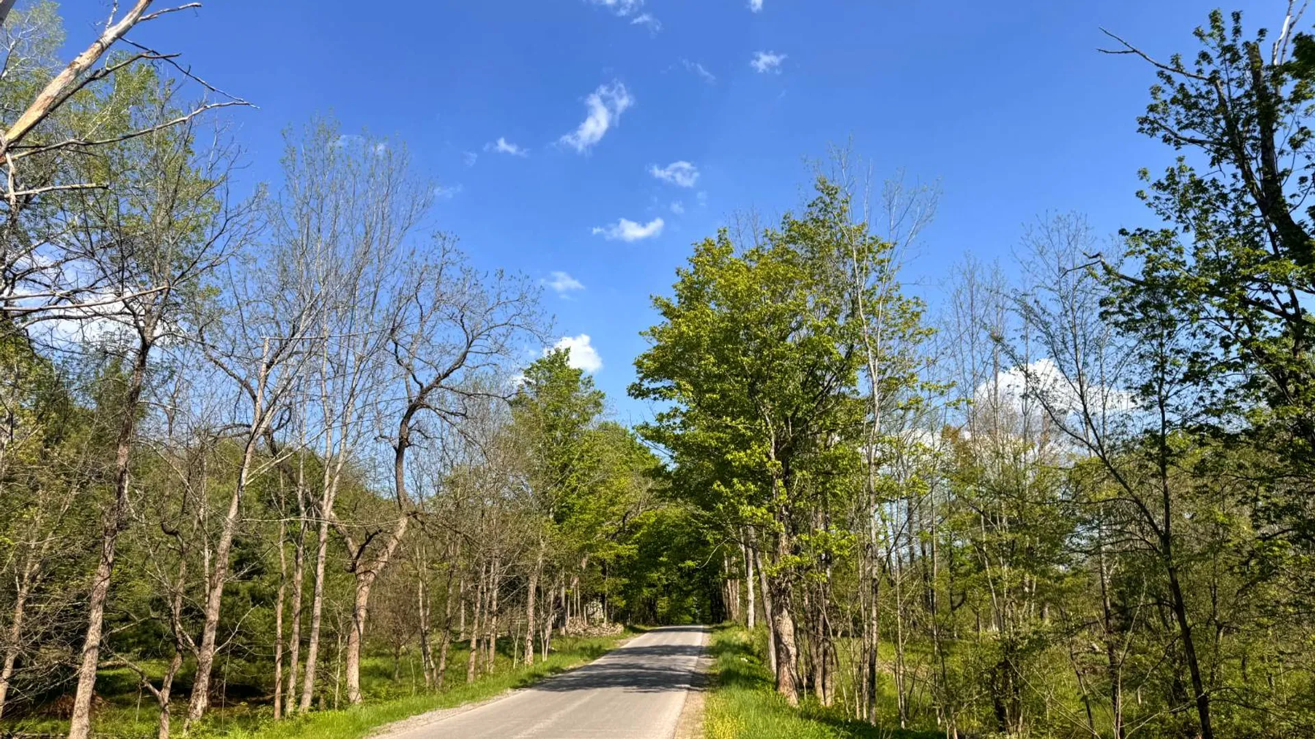 Property at 1.9 Curtiss Rd, Camden, NY, NY 13316 3