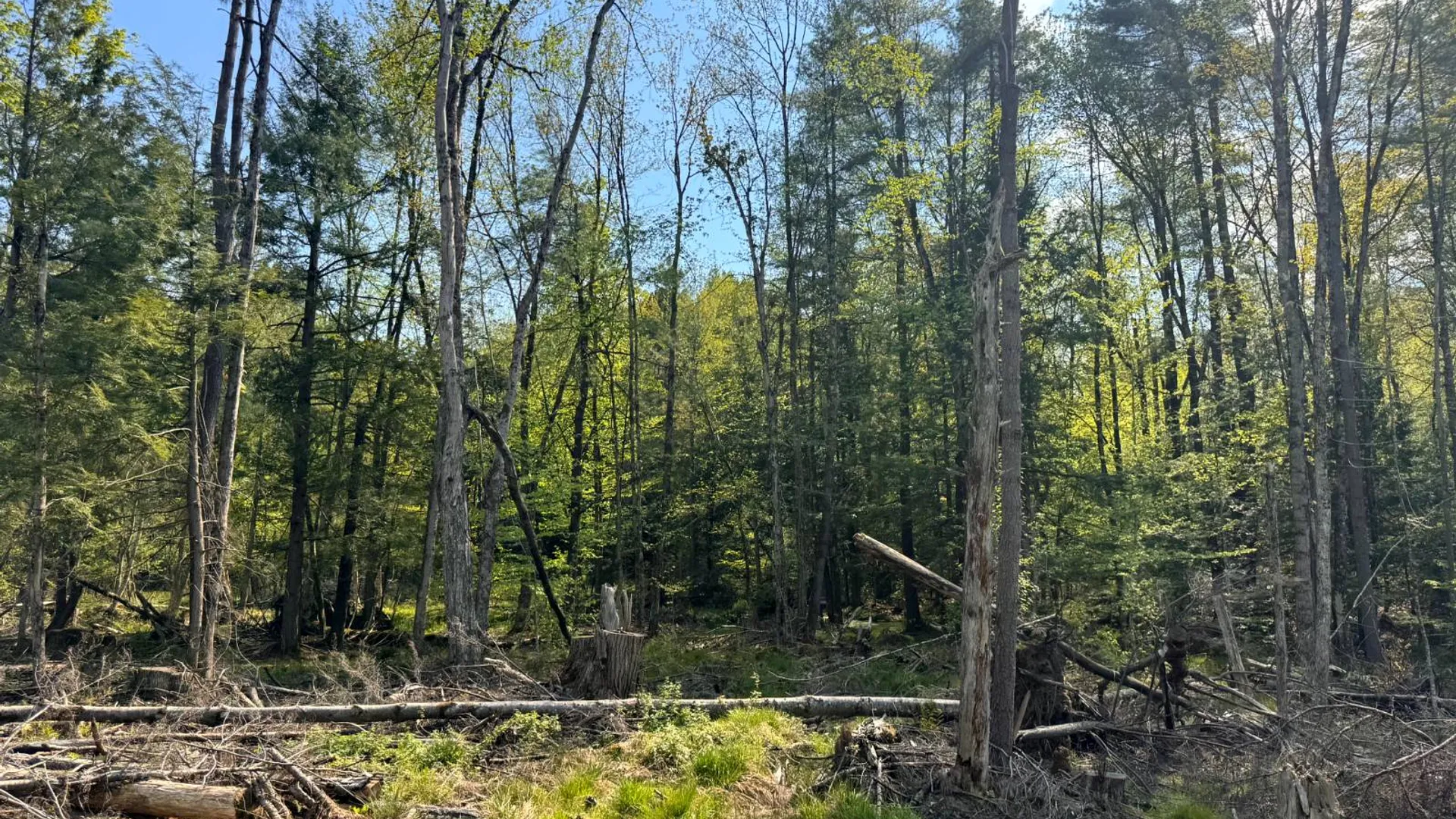 Property at 1.9 Curtiss Rd, Camden, NY, NY 13316 8