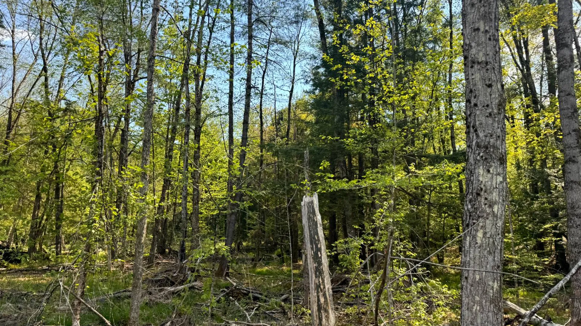 Property at 1.9 Curtiss Rd, Camden, NY, NY 13316 16
