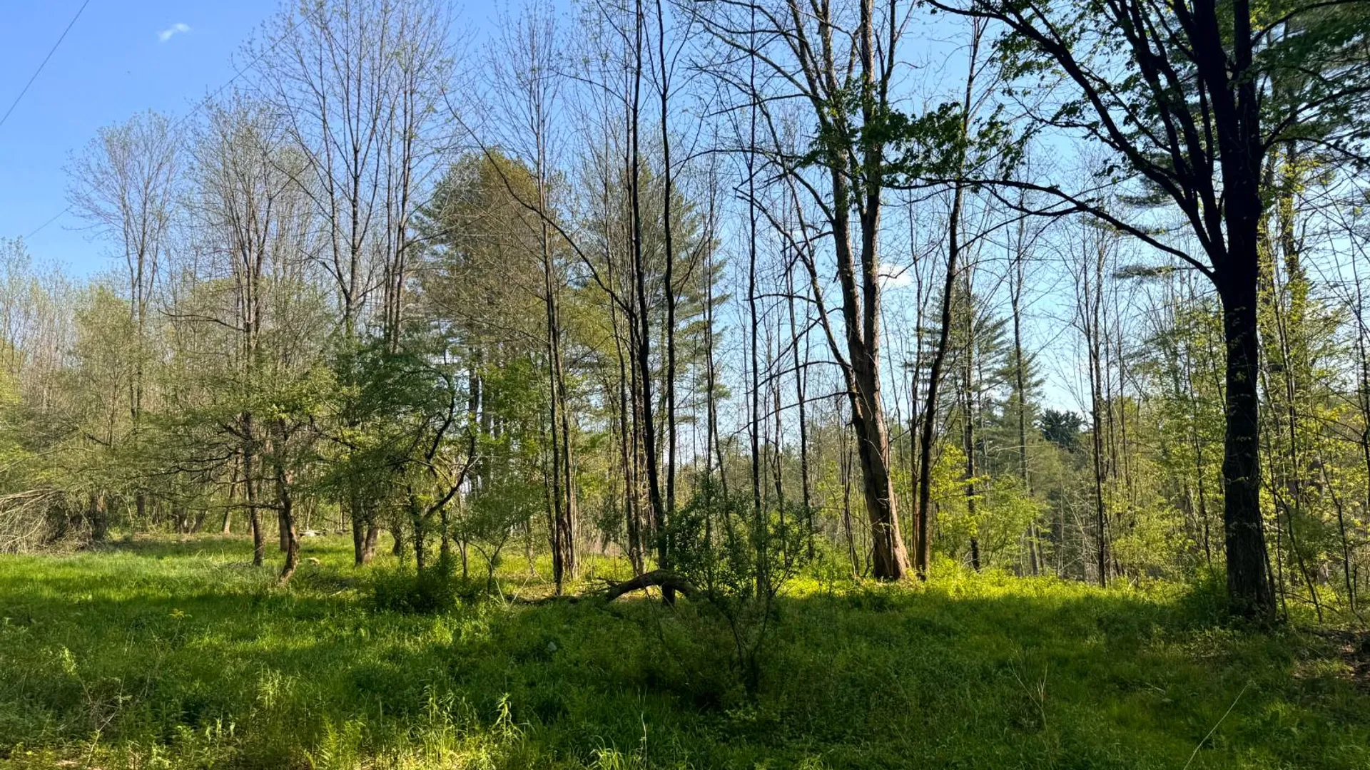 Property at 1.9 Curtiss Rd, Camden, NY, NY 13316 19