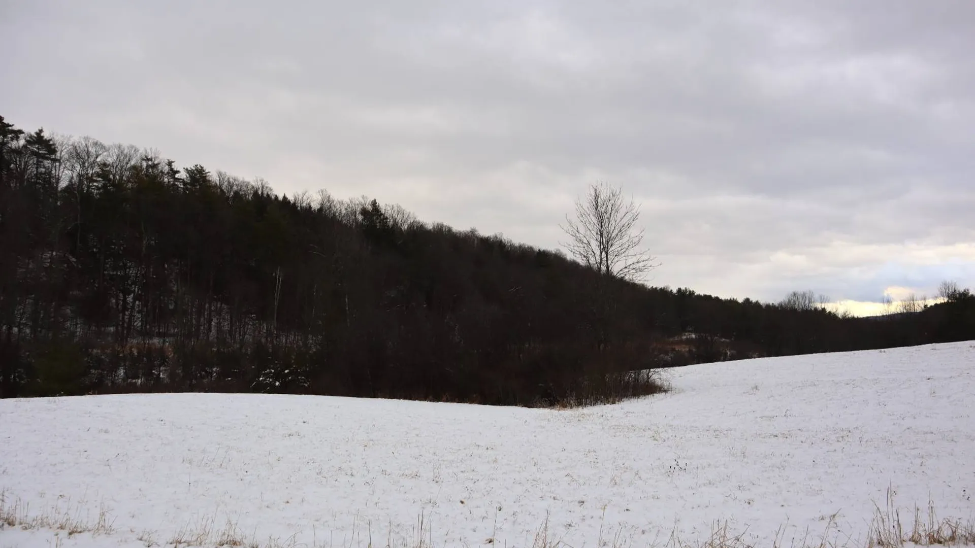 Property at 0 Wade Road, Whitehall, NY 12887 23