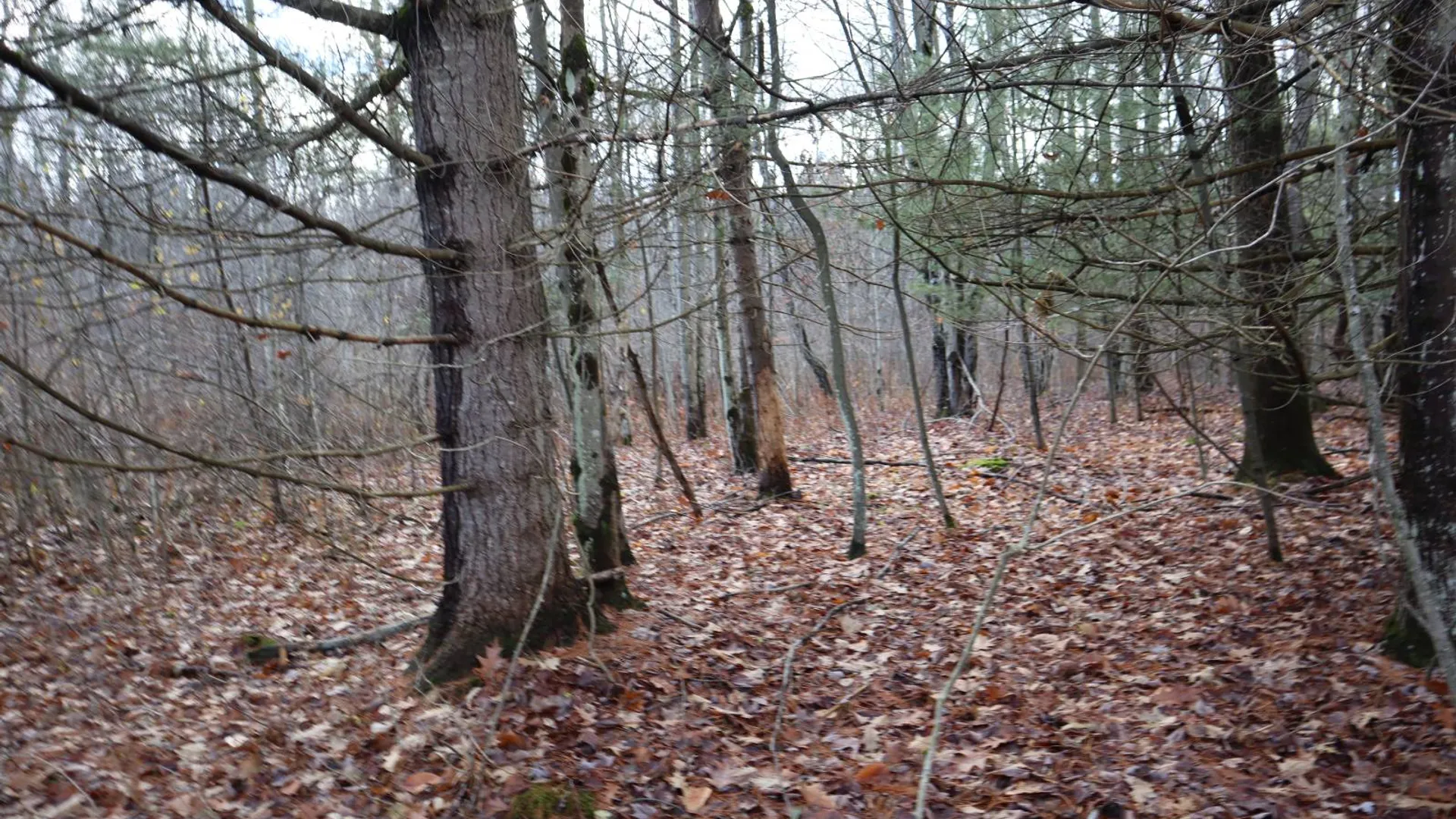 Property at 1488 Sthwy 162, Sprakers, NY 12166 8