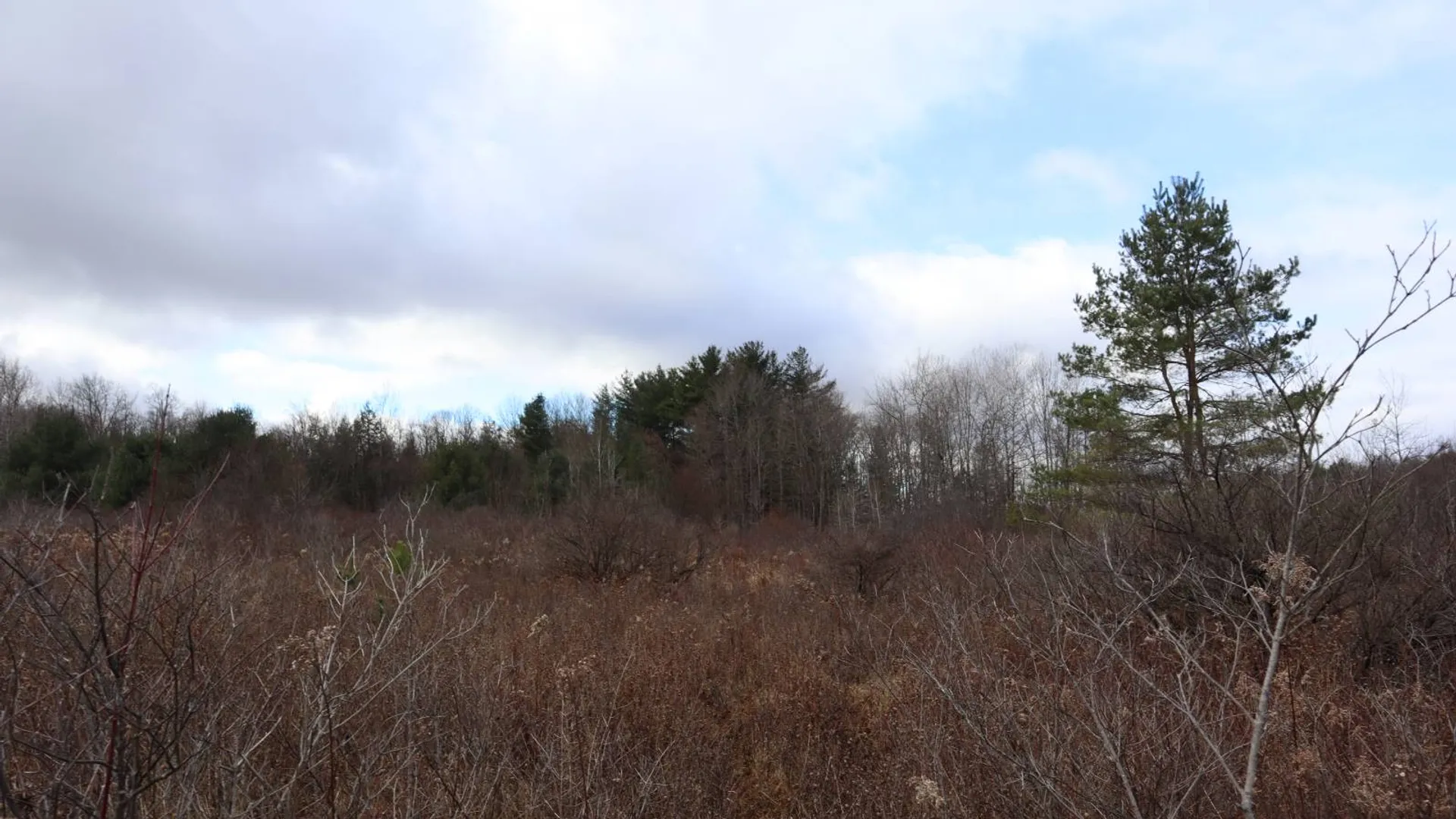 Property at 1488 Sthwy 162, Sprakers, NY 12166 16