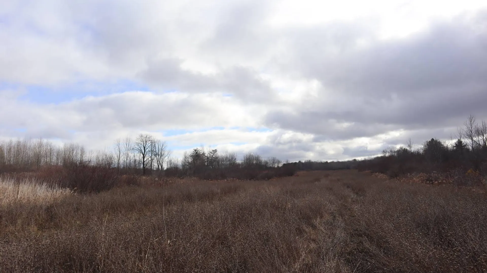 Property at 1488 Sthwy 162, Sprakers, NY 12166 17