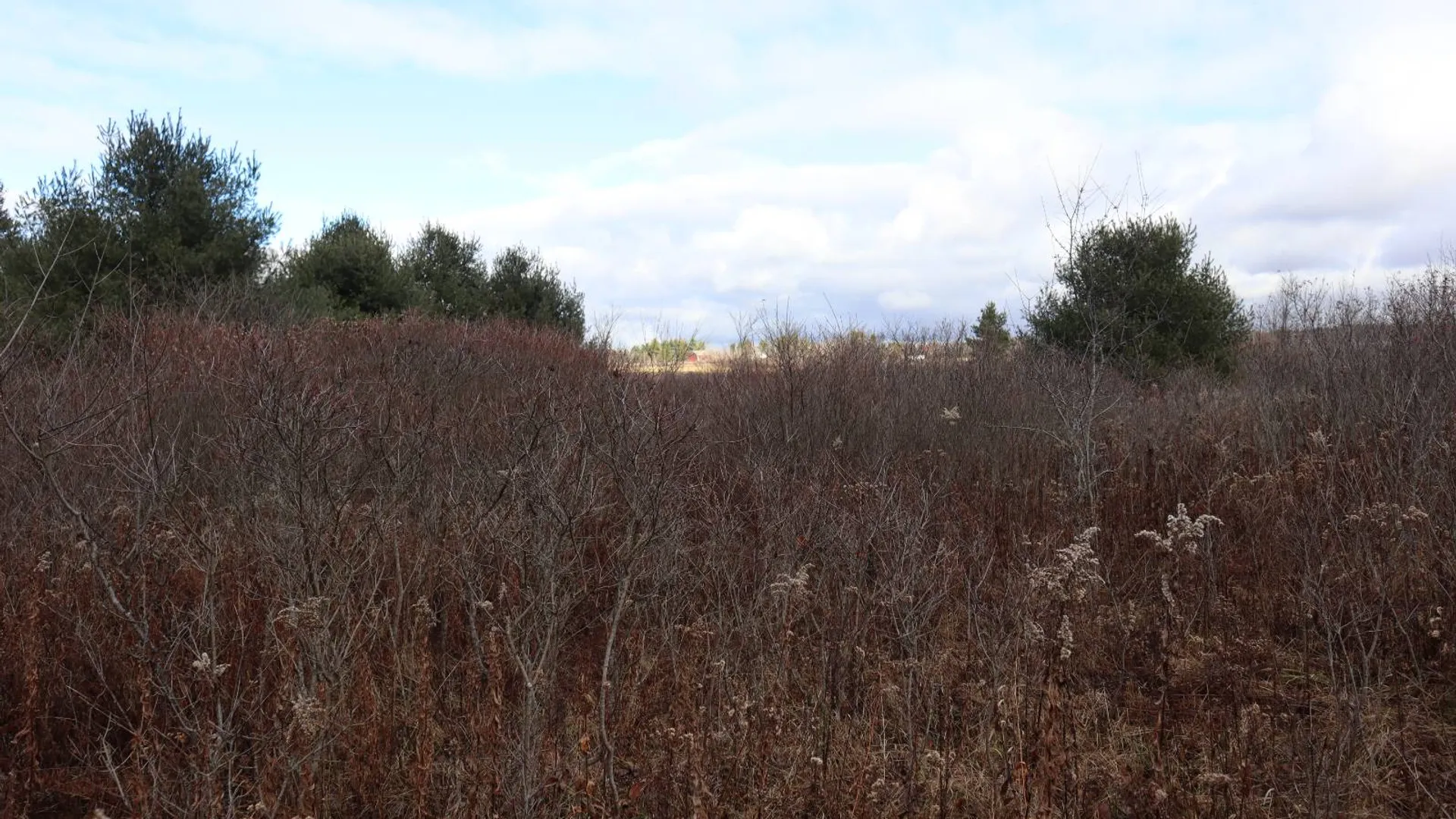 Property at 1488 Sthwy 162, Sprakers, NY 12166 21