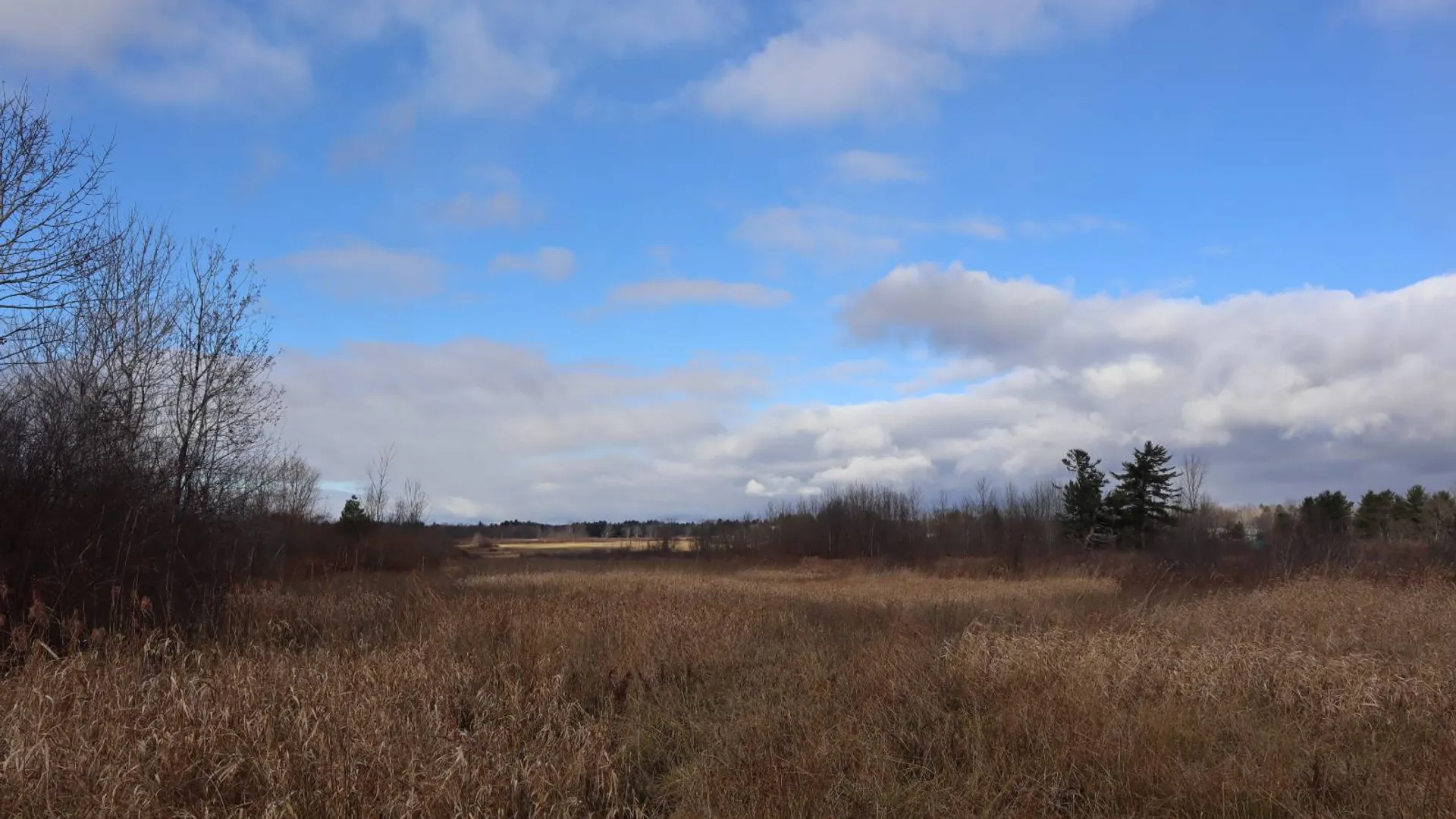 Property at 1488 Sthwy 162, Sprakers, NY 12166 27