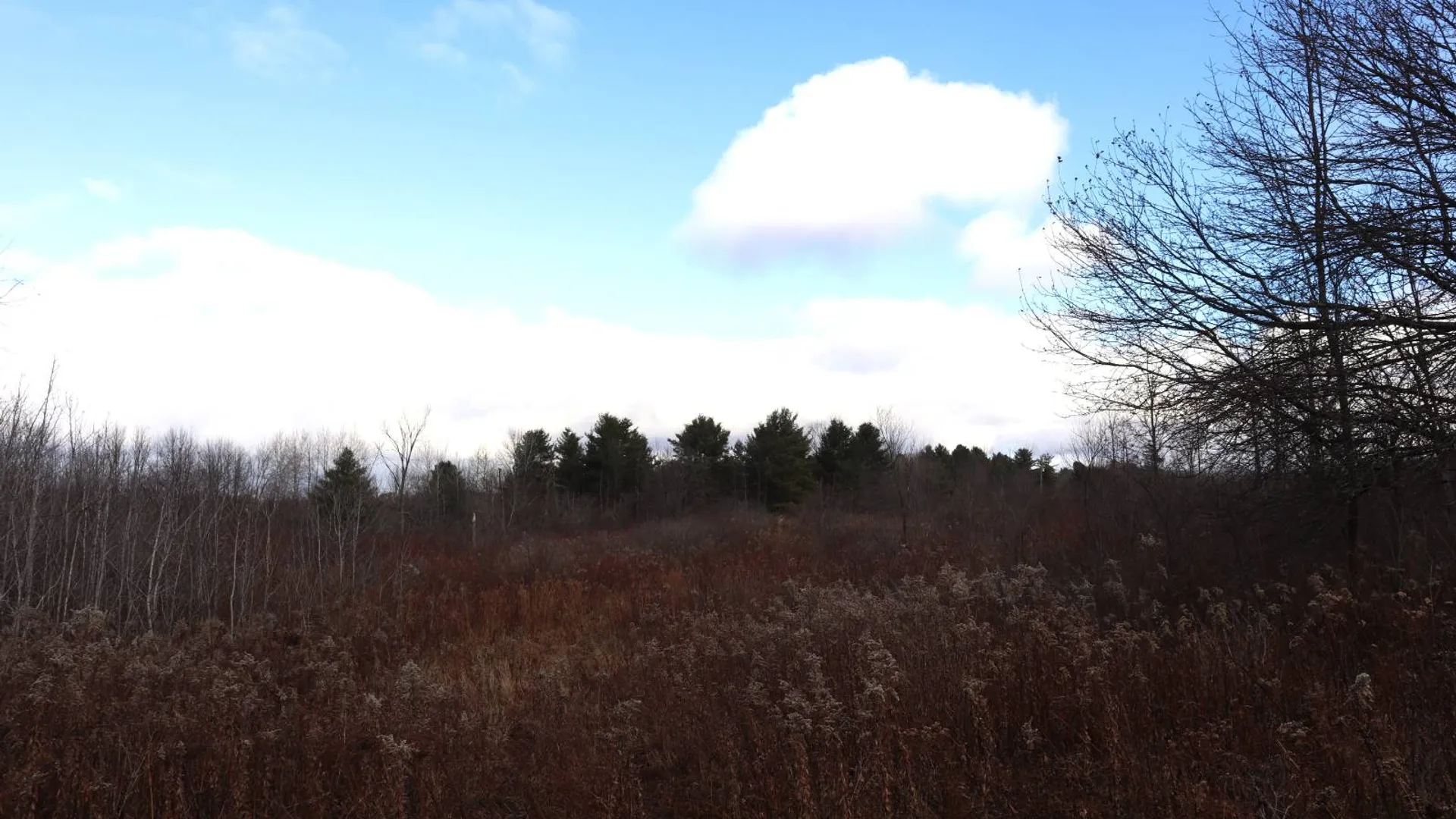 Property at 1488 Sthwy 162, Sprakers, NY 12166 28