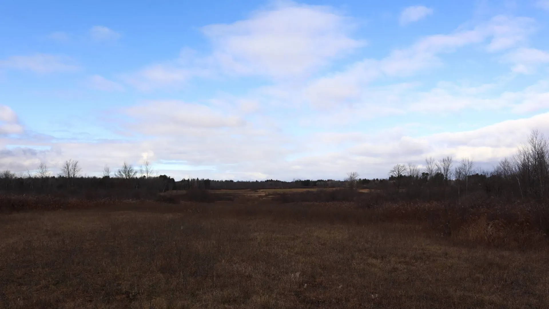 Property at 1488 Sthwy 162, Sprakers, NY 12166 29