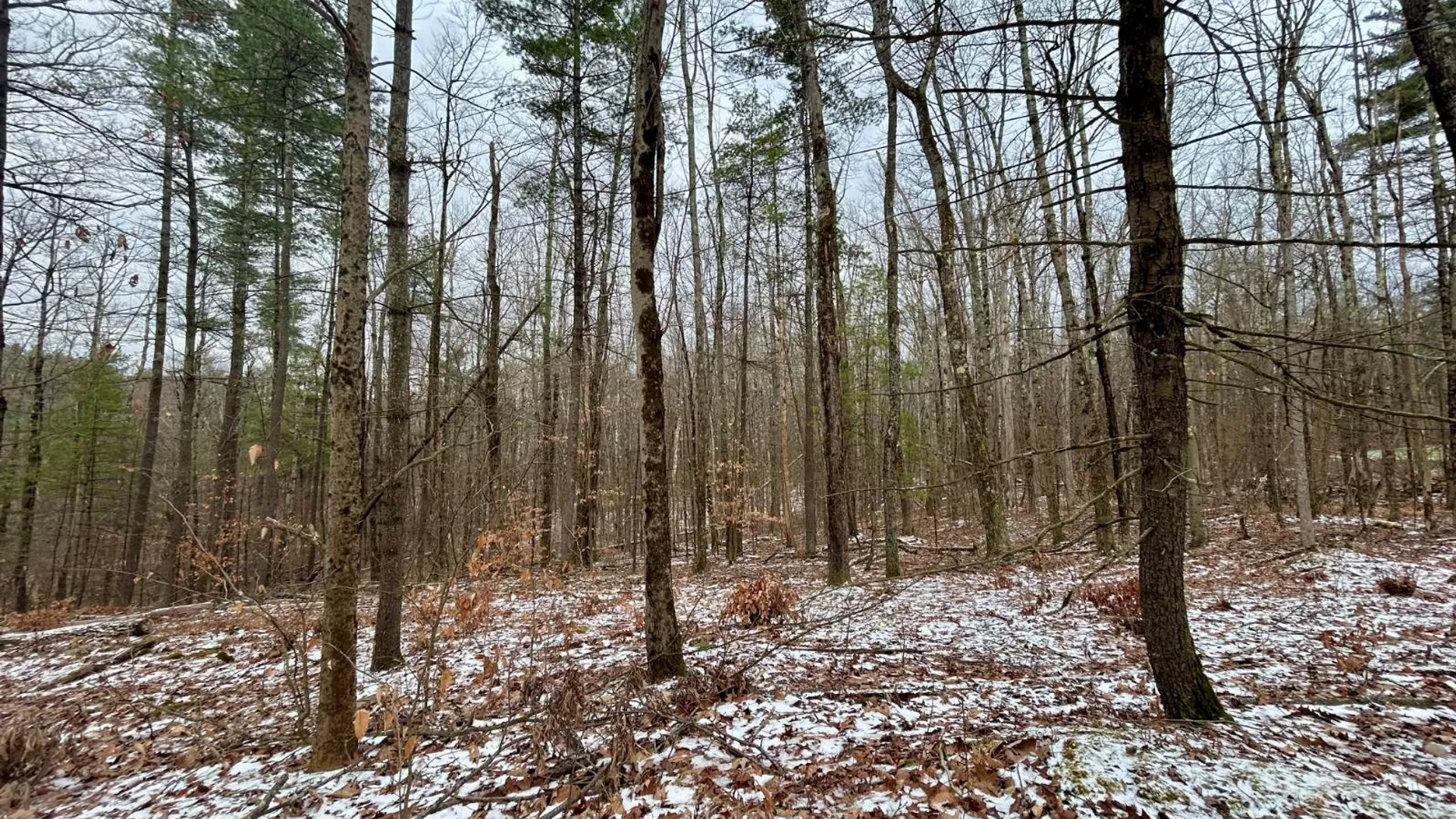 Property at L90 County Route 9, East Chatham, NY 12060 4