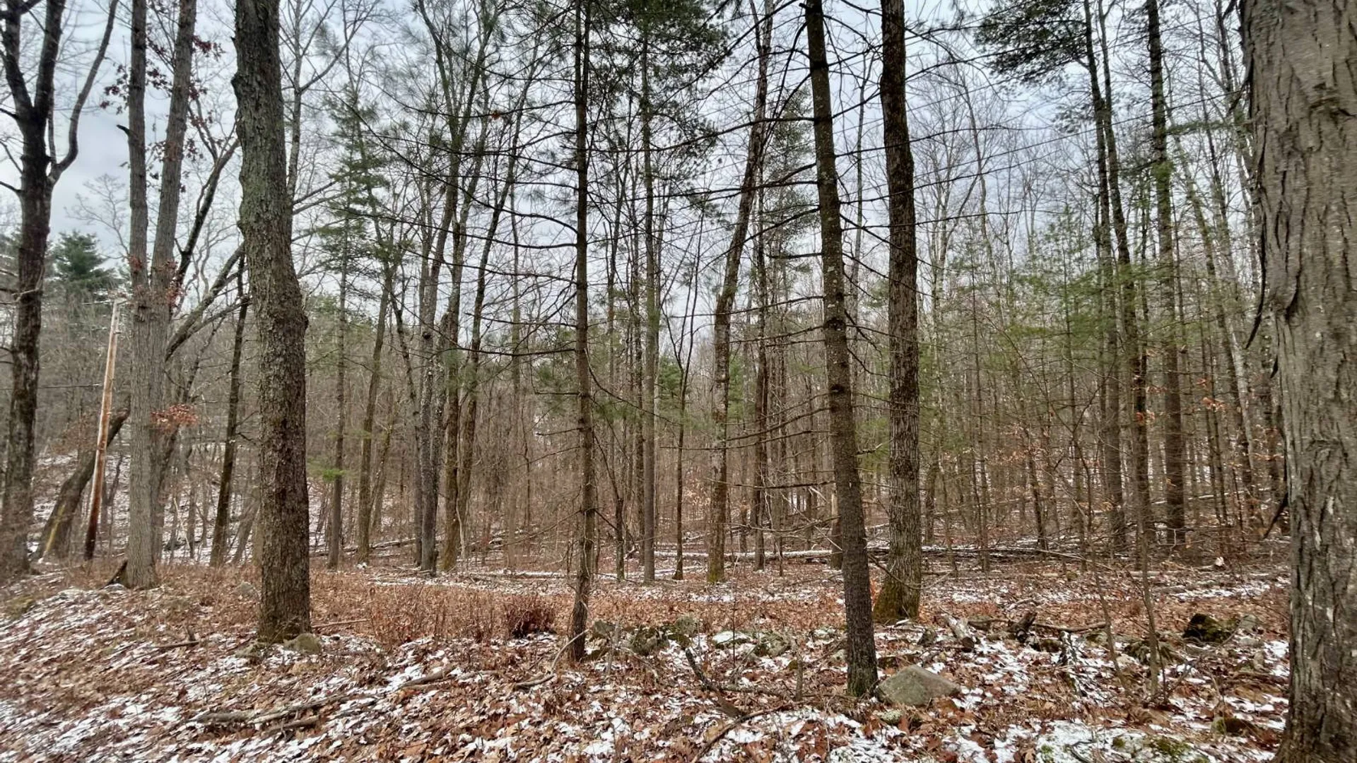 Property at L90 County Route 9, East Chatham, NY 12060 5