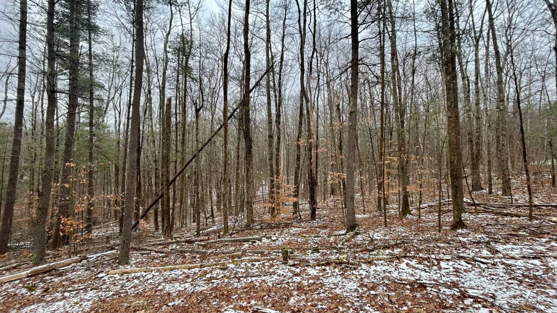 Property at L90 County Route 9, East Chatham, NY 12060 7