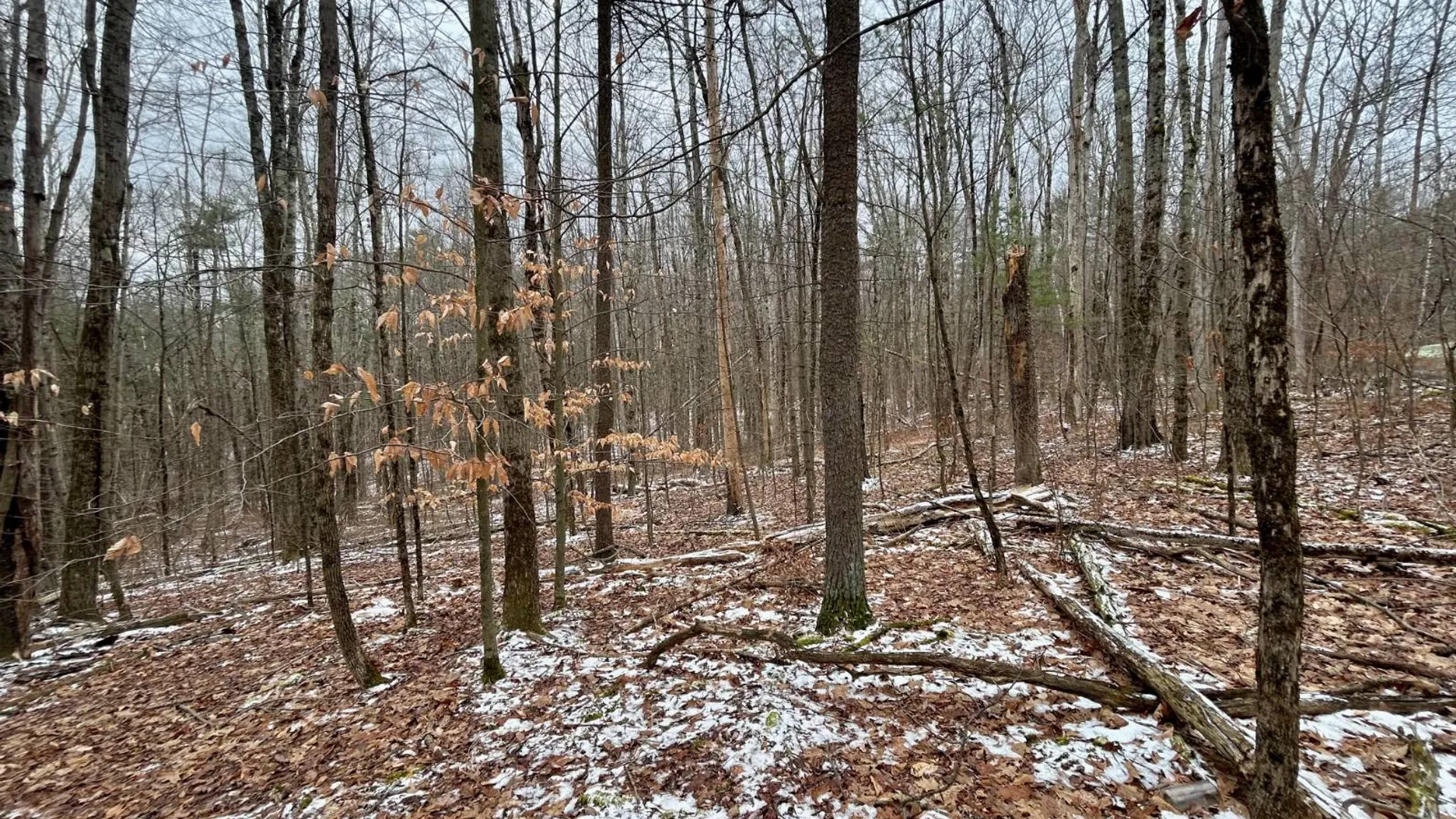 Property at L90 County Route 9, East Chatham, NY 12060 8