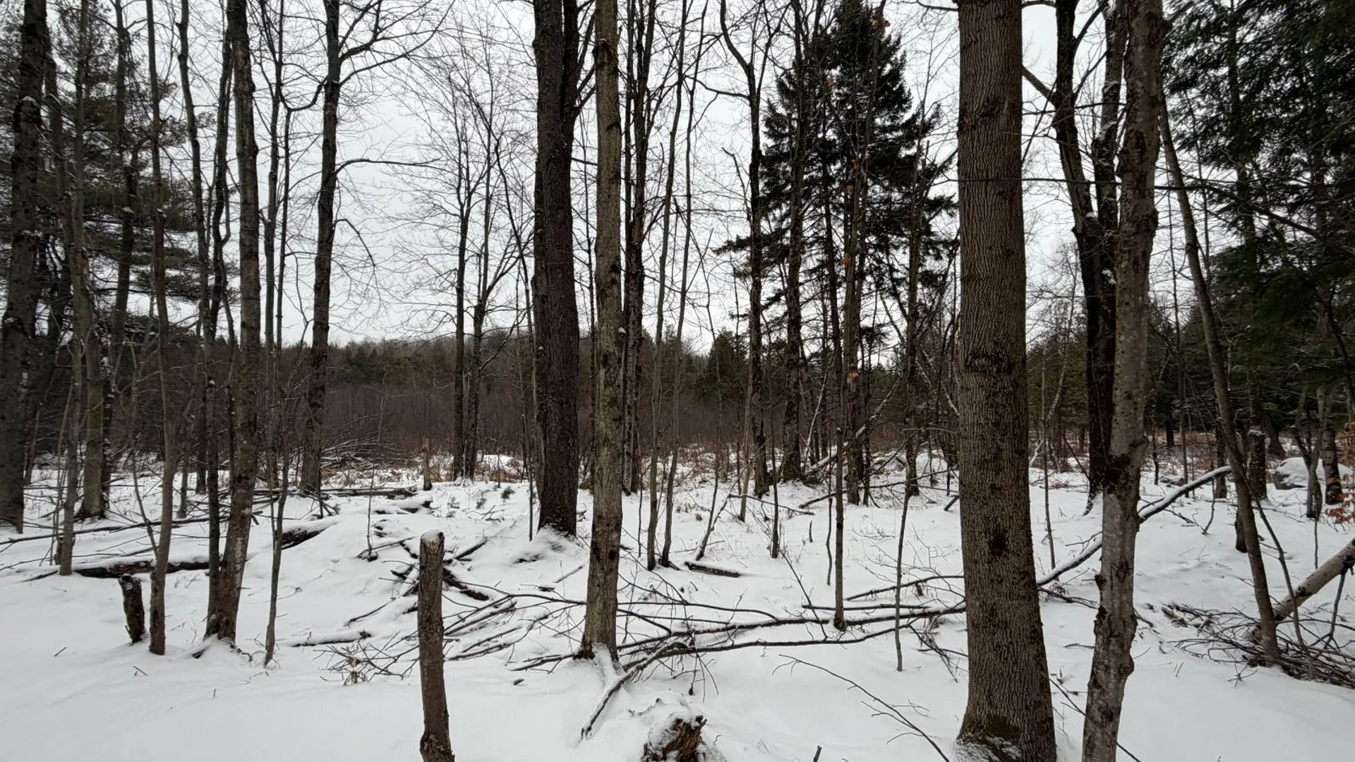 Property at 0 Port Kent Rd, Dickinson Center, NY 12930 30