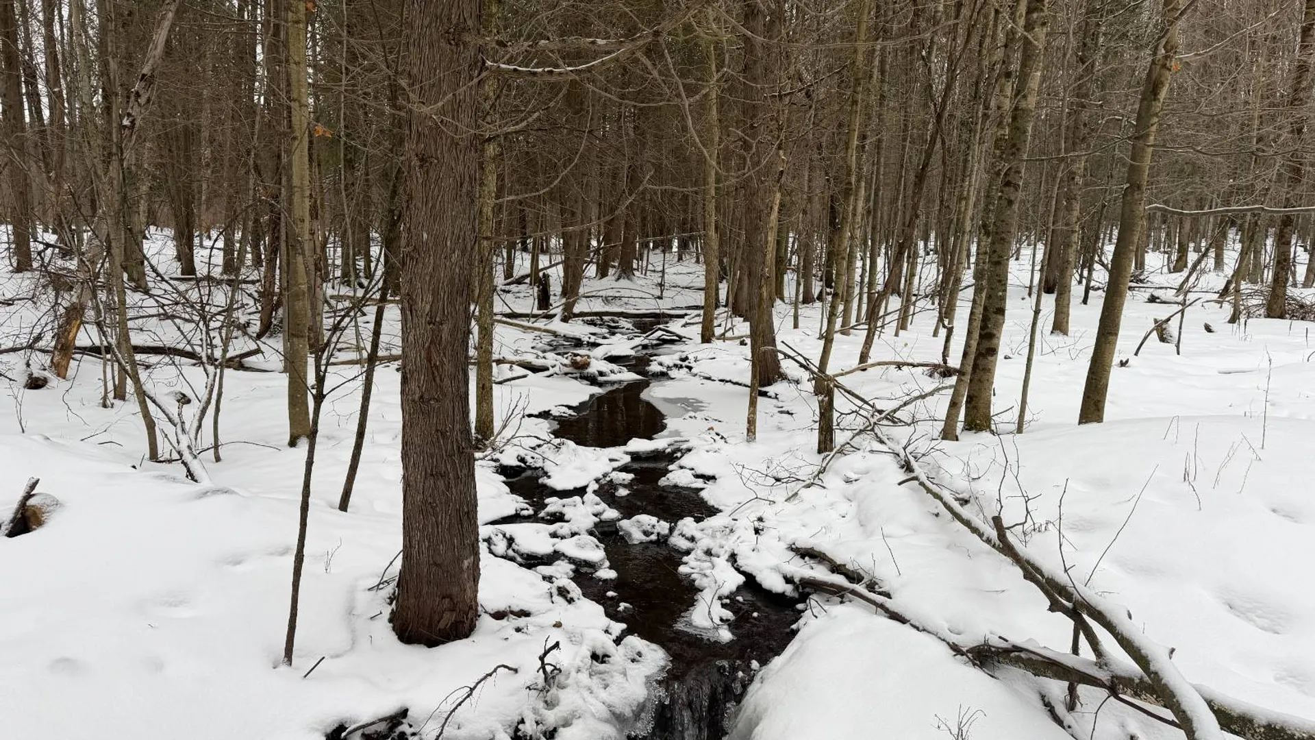 Property at 0 Port Kent Rd, Dickinson Center, NY 12930 37