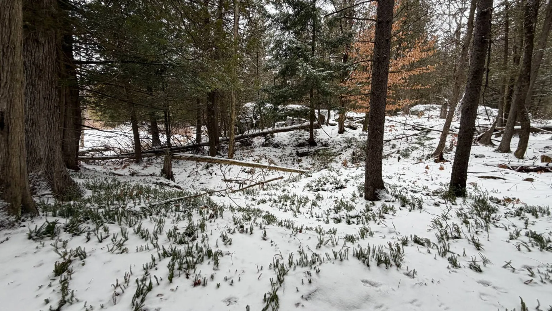 Property at 0 Port Kent Rd, Dickinson Center, NY 12930 42