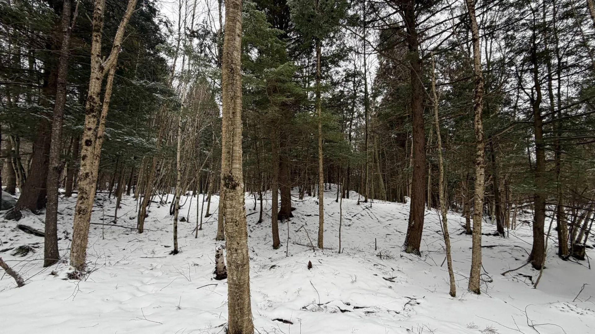 Property at 0 Port Kent Rd, Dickinson Center, NY 12930 50