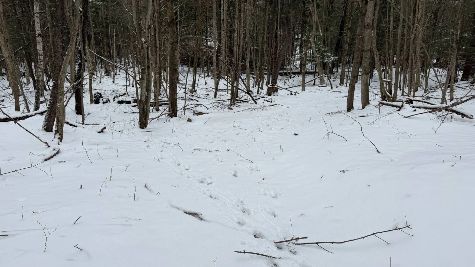 Property at 0 Port Kent Rd, Dickinson Center, NY 12930 51