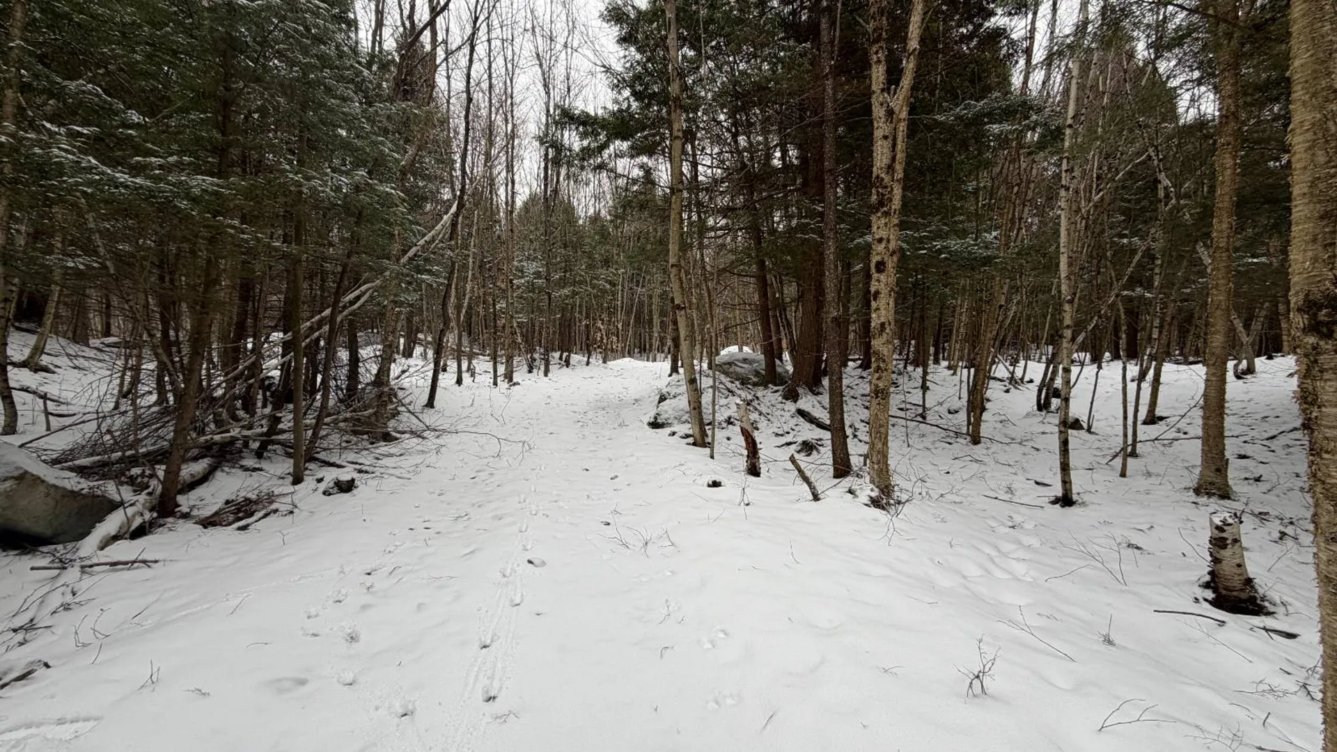 Property at 0 Port Kent Rd, Dickinson Center, NY 12930 53