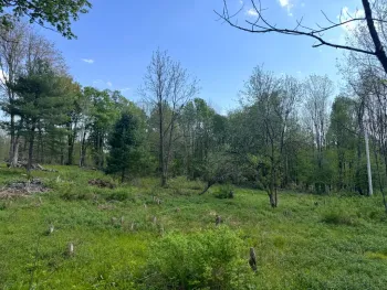 Property at 1.10 Curtiss Rd, Camden, NY, NY 13316