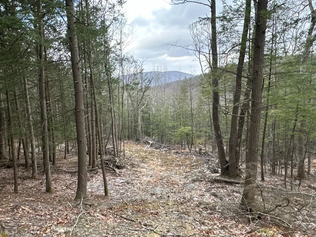 Property at 00WP Cotton Hill Rd, Middleburgh, NY 12122