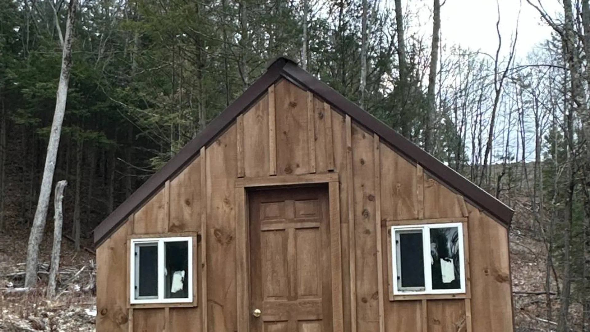 Property at 00WP Cotton Hill Rd, Middleburgh, NY 12122 8
