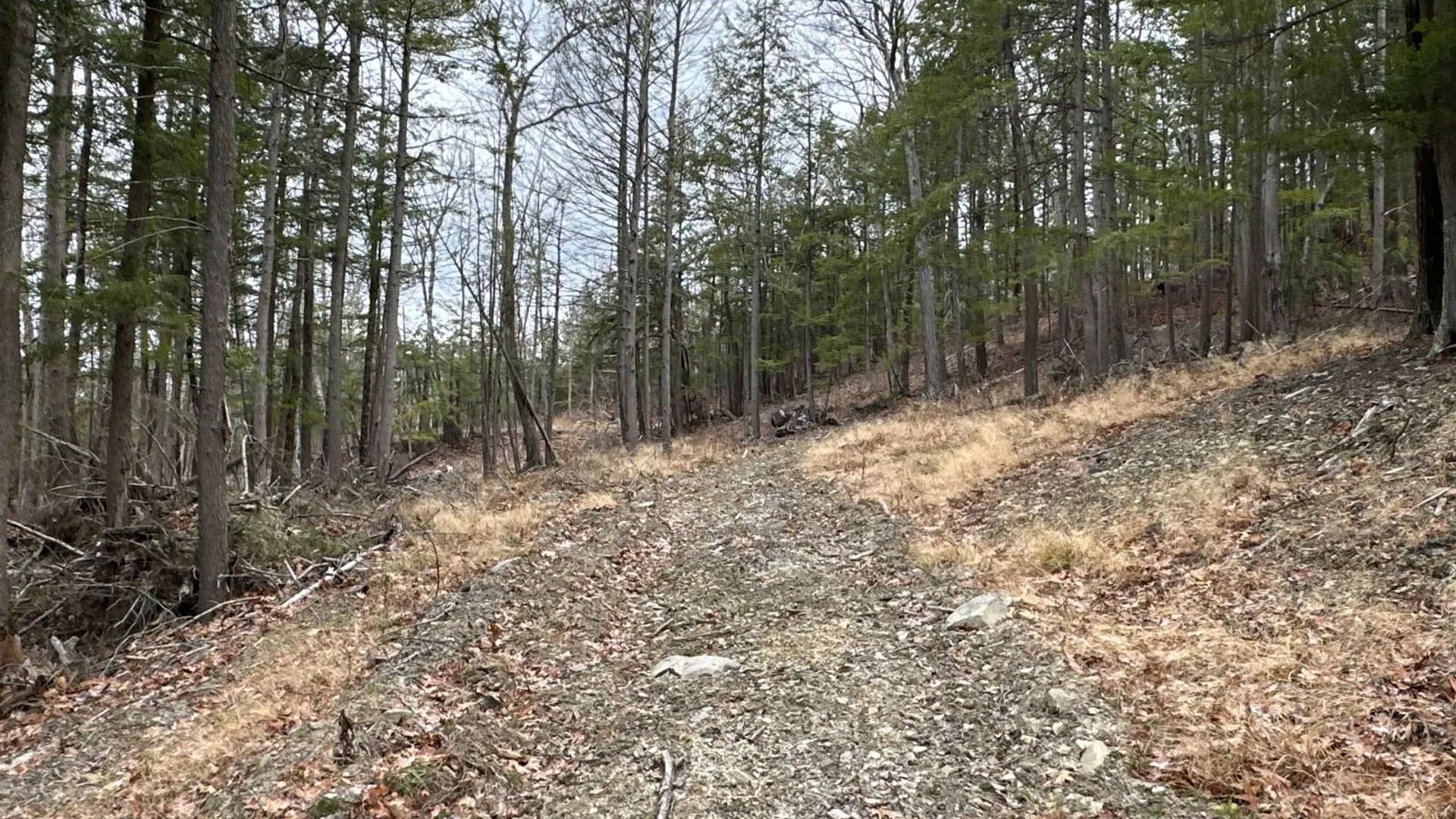 Property at 00WP Cotton Hill Rd, Middleburgh, NY 12122 16