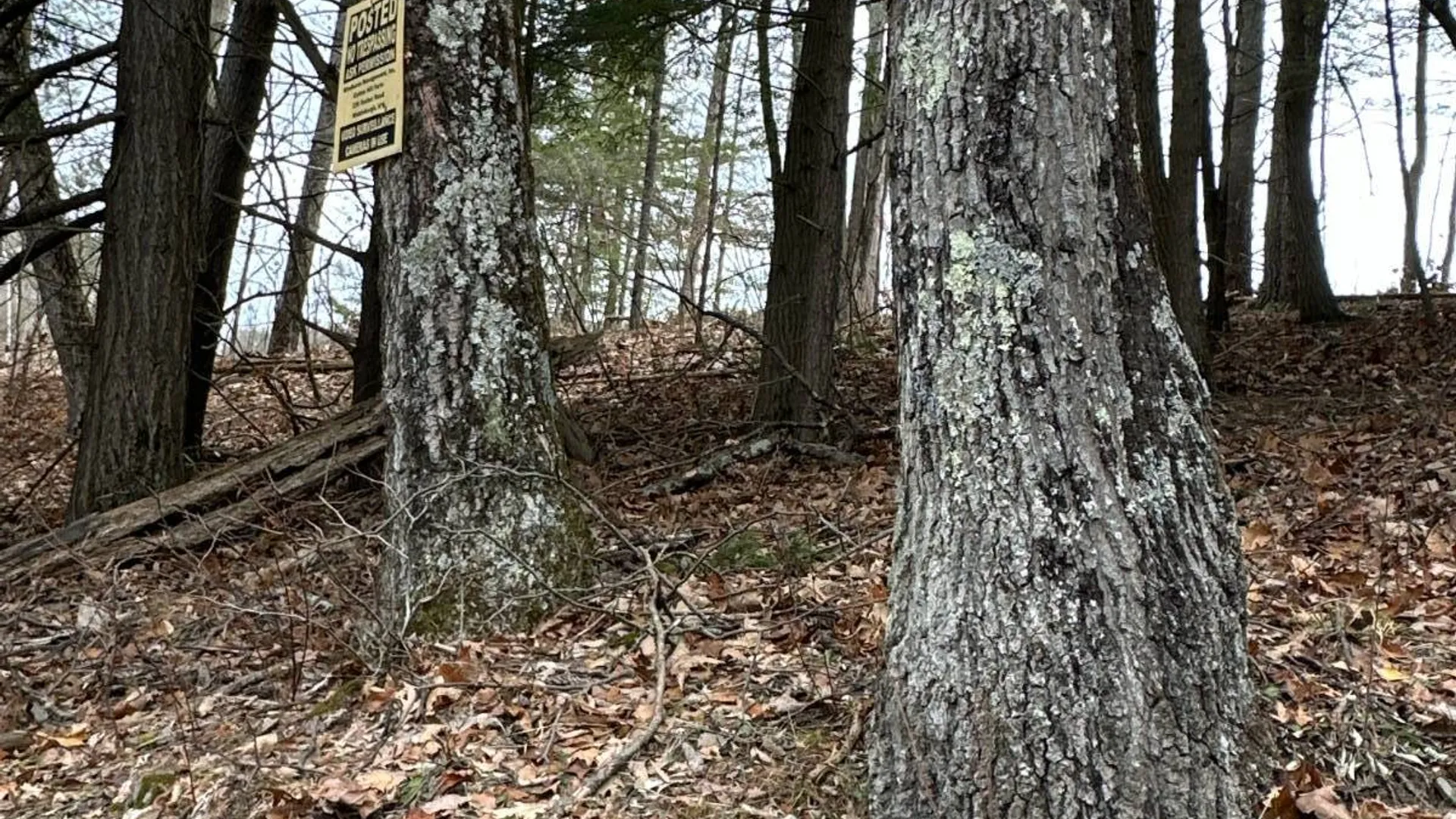 Property at 00WP Cotton Hill Rd, Middleburgh, NY 12122 20