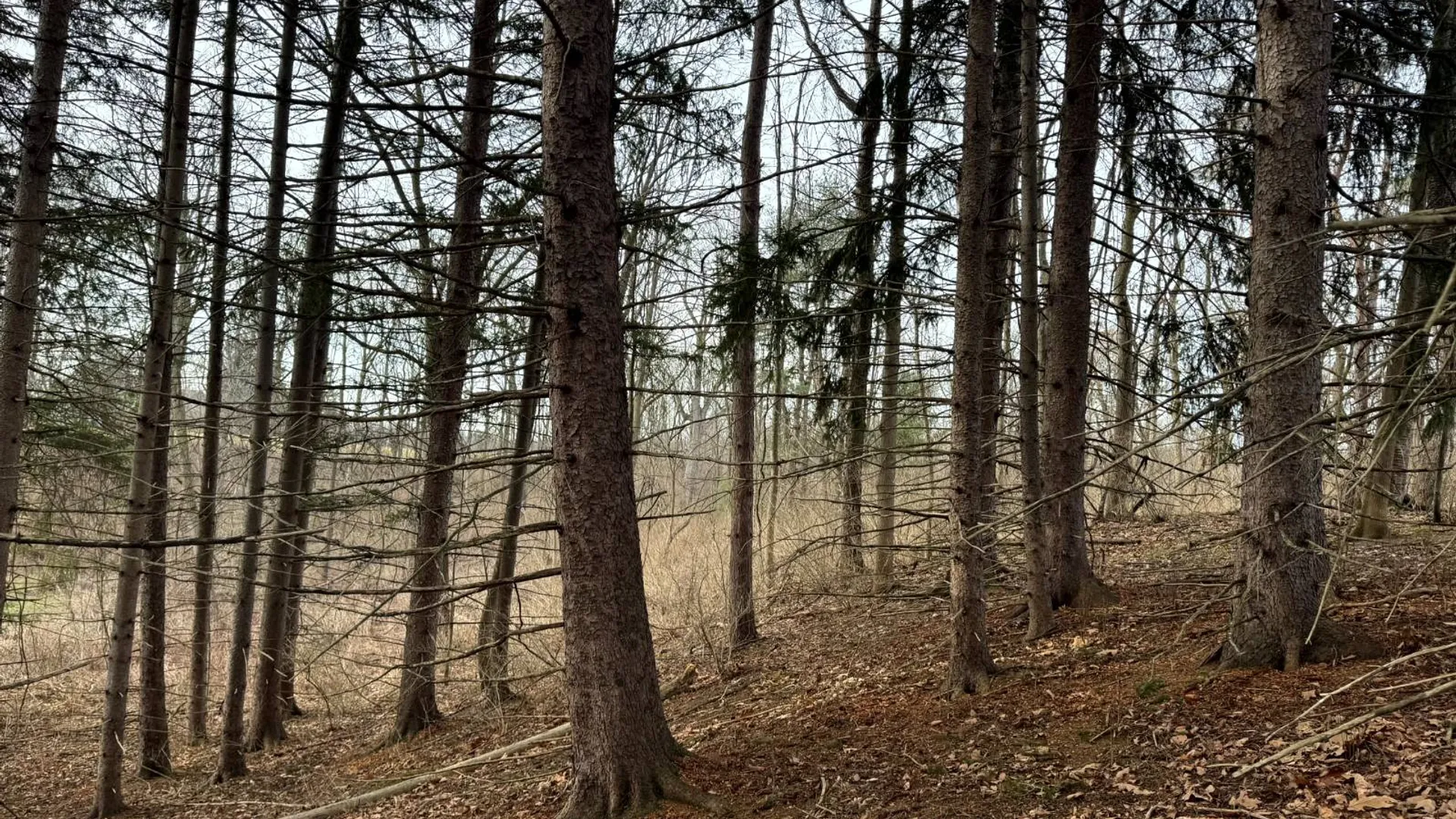 Property at 2C Creek Road, Nunda, NY 14517 4