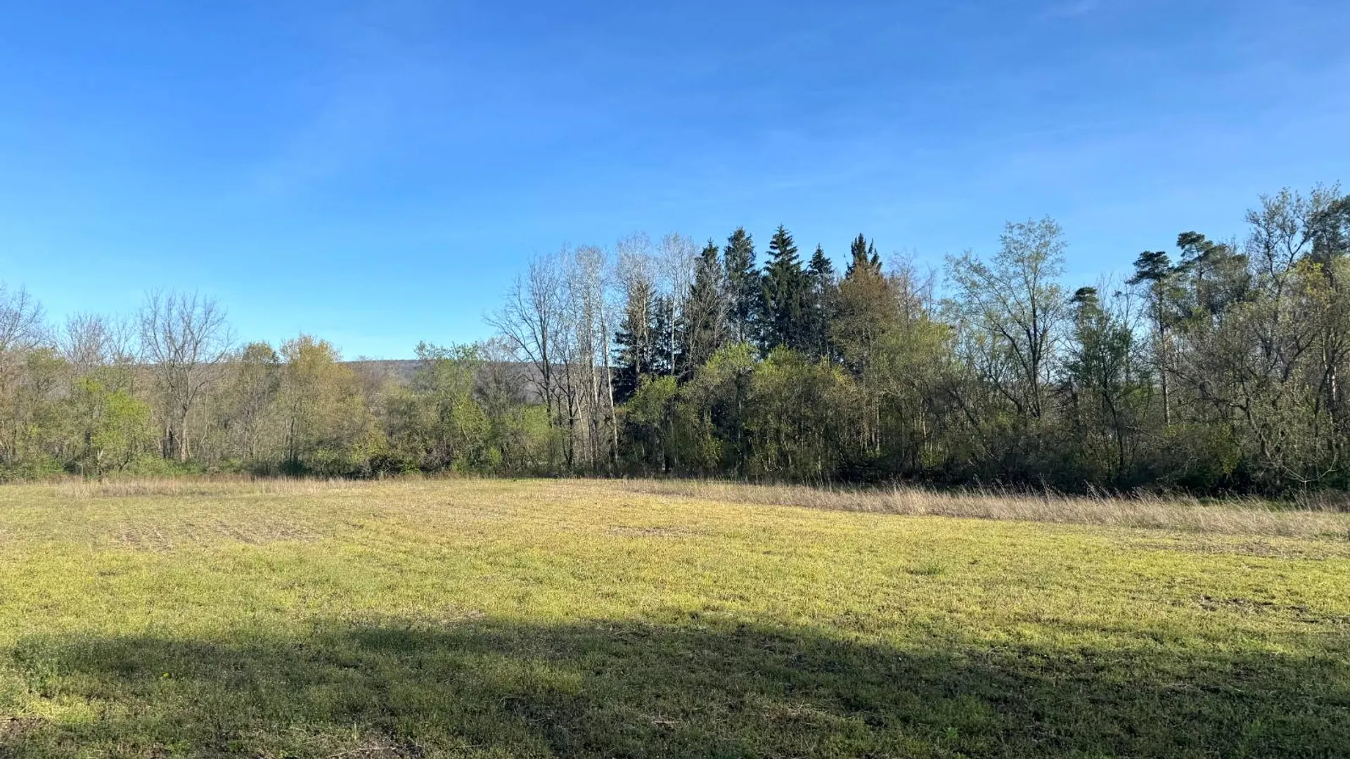 Property at 2C Creek Road, Nunda, NY 14517 7