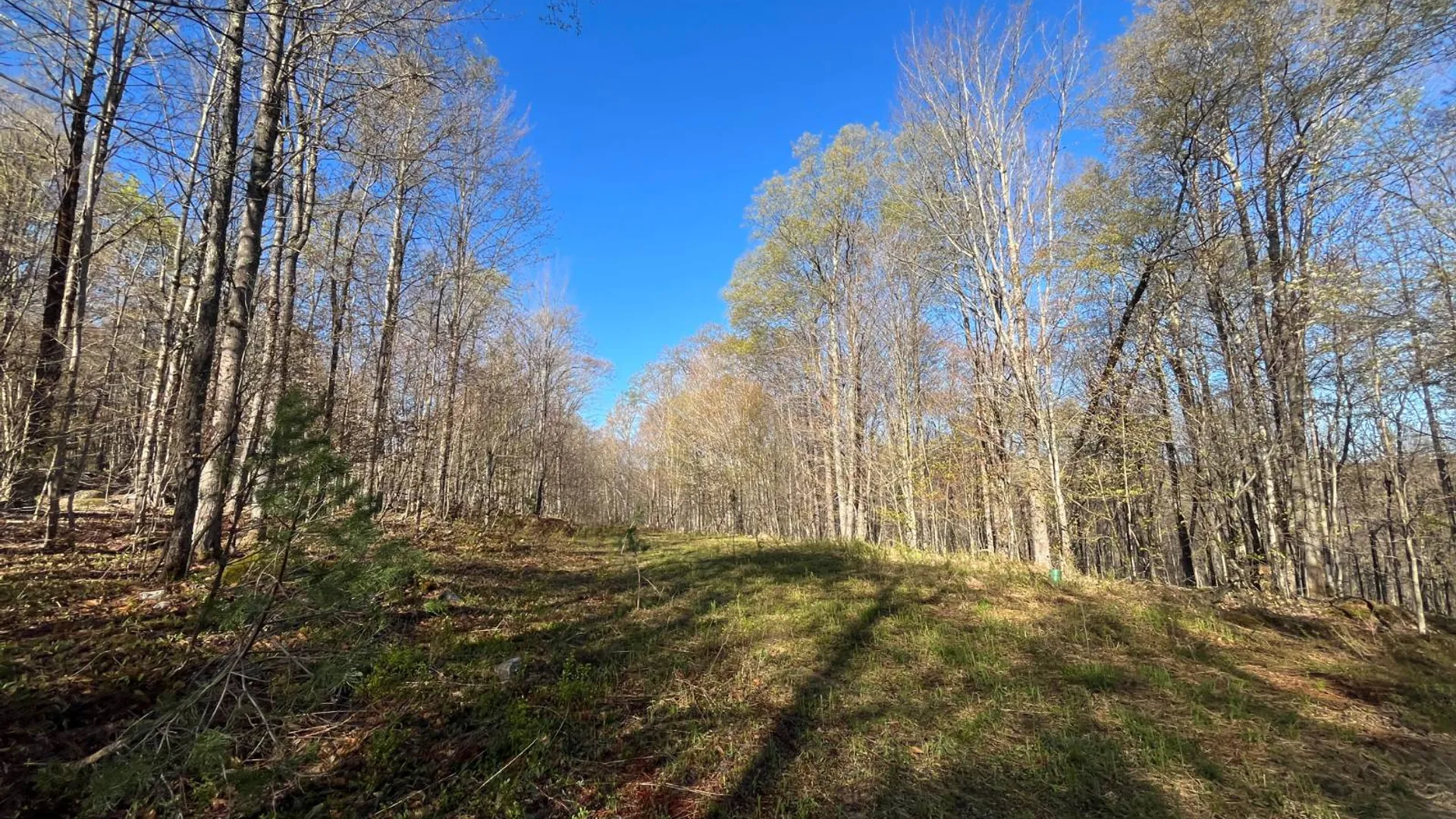 Property at 00 Coffin Mills Rd, Oswegatchie, NY 13670 11