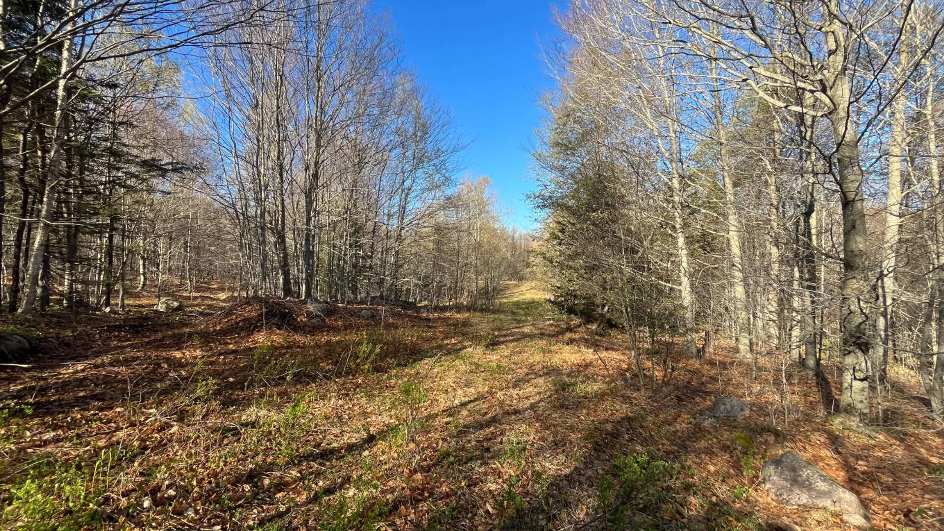 Property at 00 Coffin Mills Rd, Oswegatchie, NY 13670 13